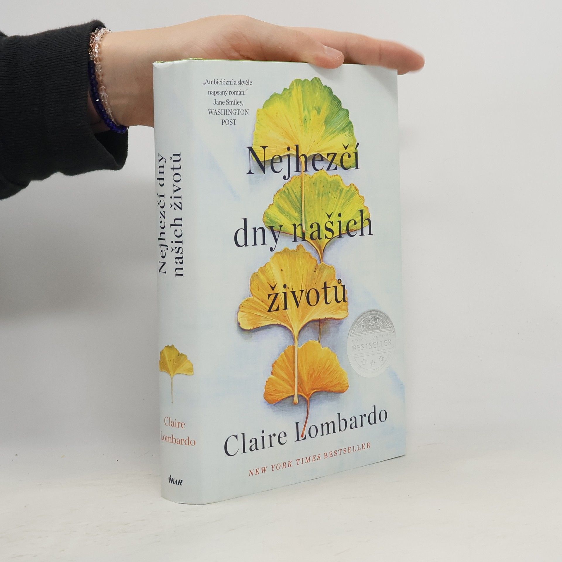 Claire Lombardo Nejhezčí dny našich životů