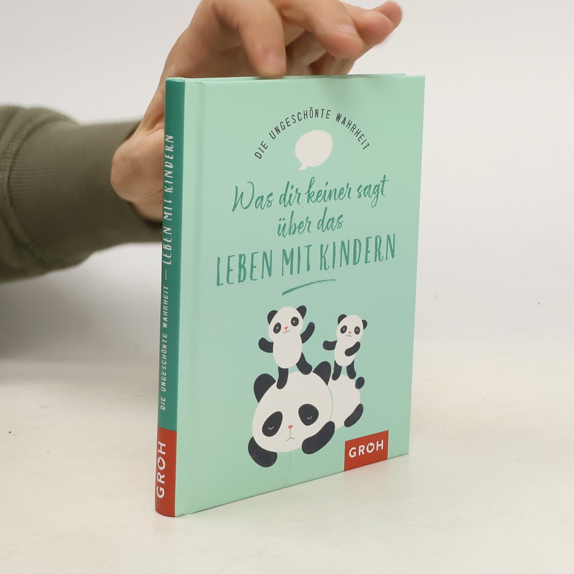 Die ungeschönte Wahrheit – Was dir keiner sagt über das Leben mit Kindern