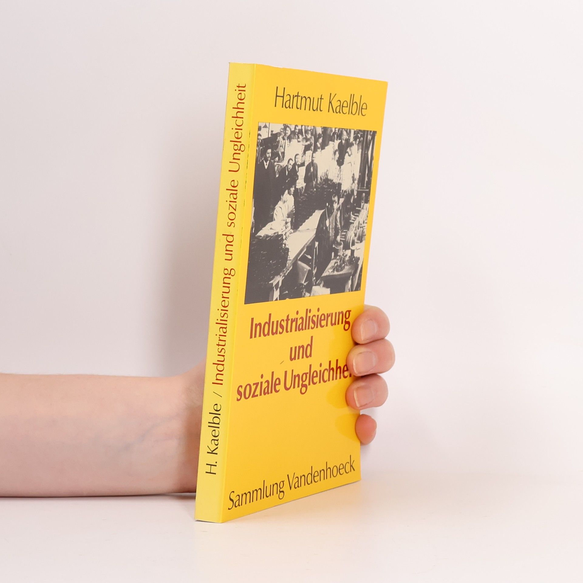 Hartmut Kaelble Industrialisierung und soziale Ungleichheit