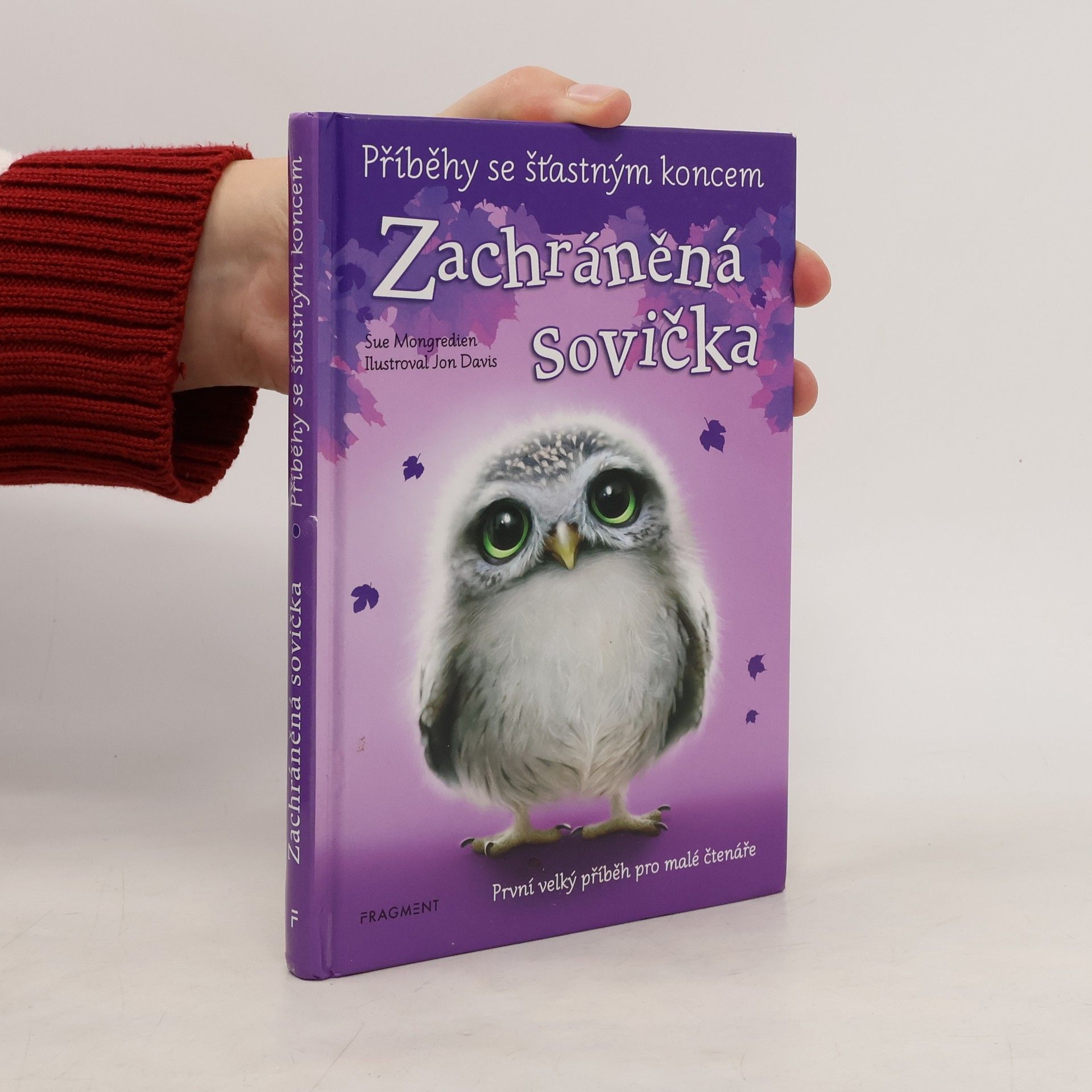 Eva Brožová Zachráněná sovička