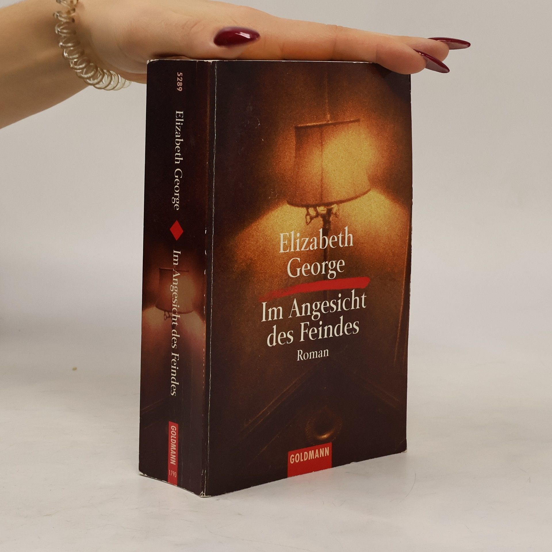 Elizabeth George Im Angesicht des Feindes