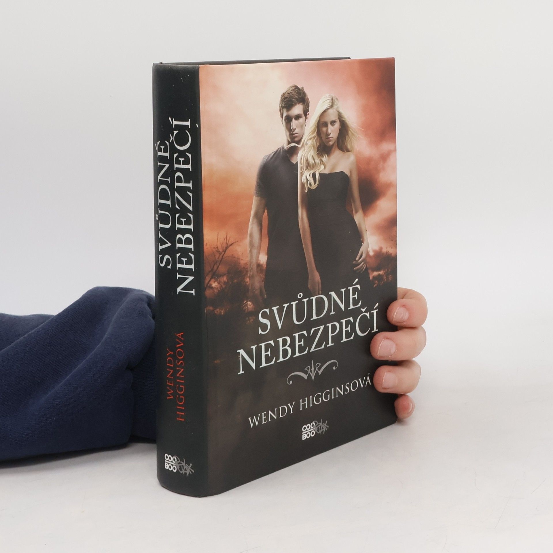 Wendy Higgins Svůdné nebezpečí