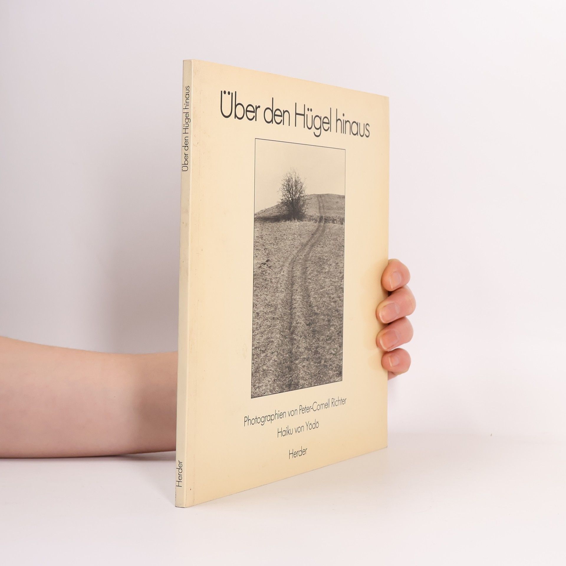 Peter Cornell Richter Über die Hügel hinaus