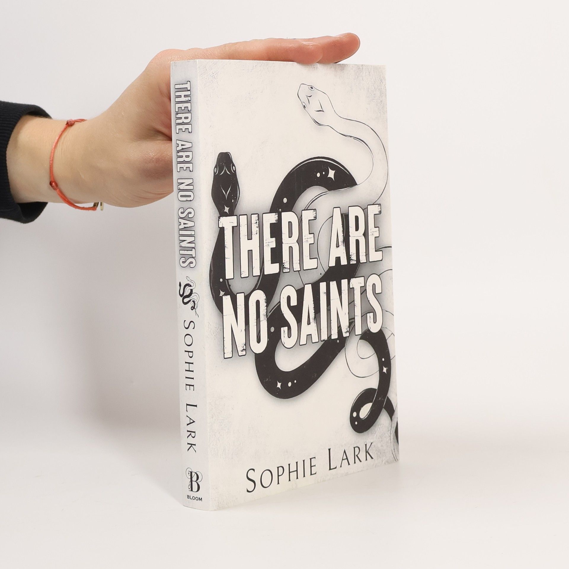 Sophie Lark There Are No Saints
