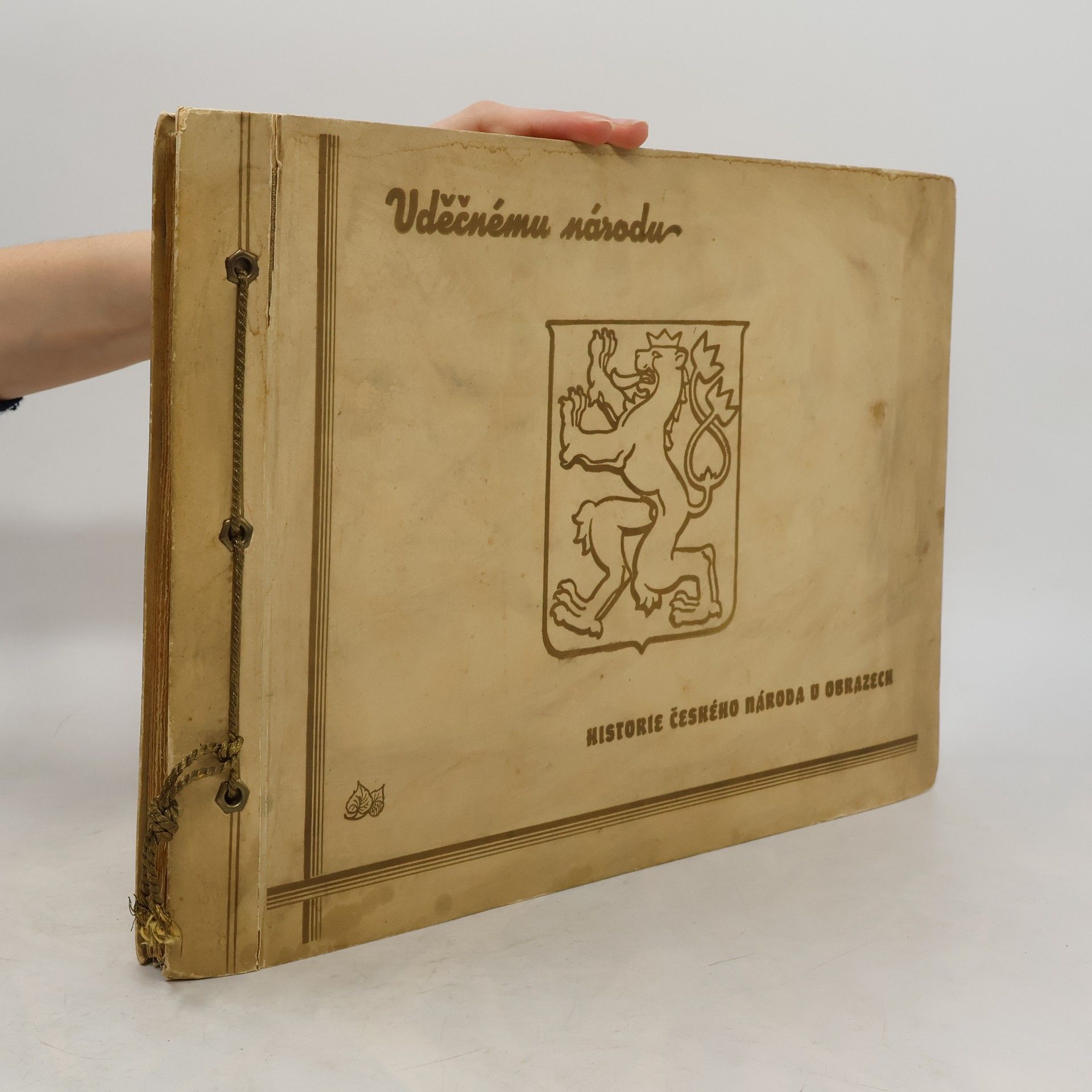 Kolektív autorov Historie českého národa v obrazech