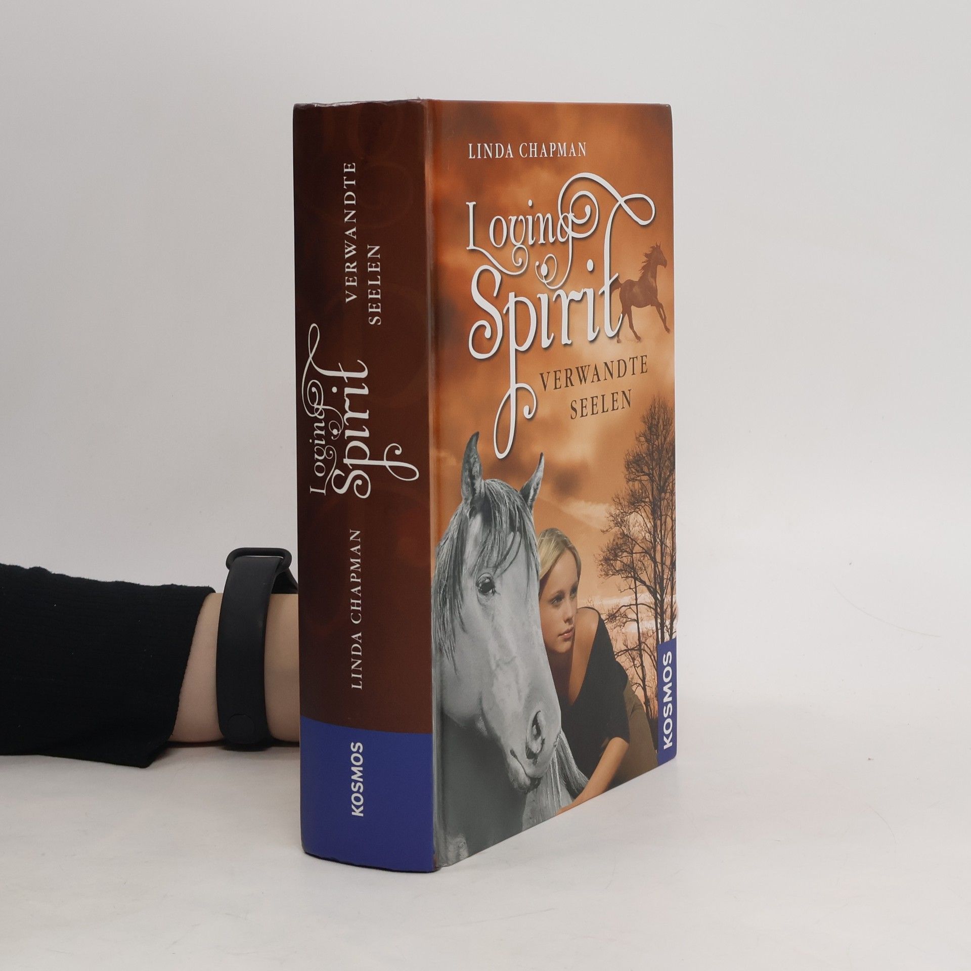 Linda Chapman Loving Spirit