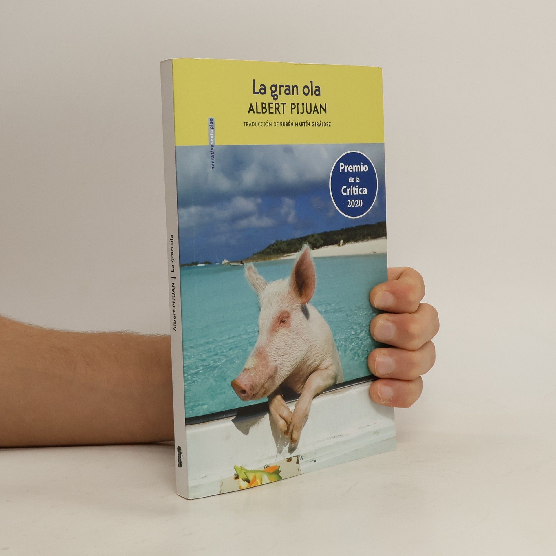 Albert Pijuan La gran ola