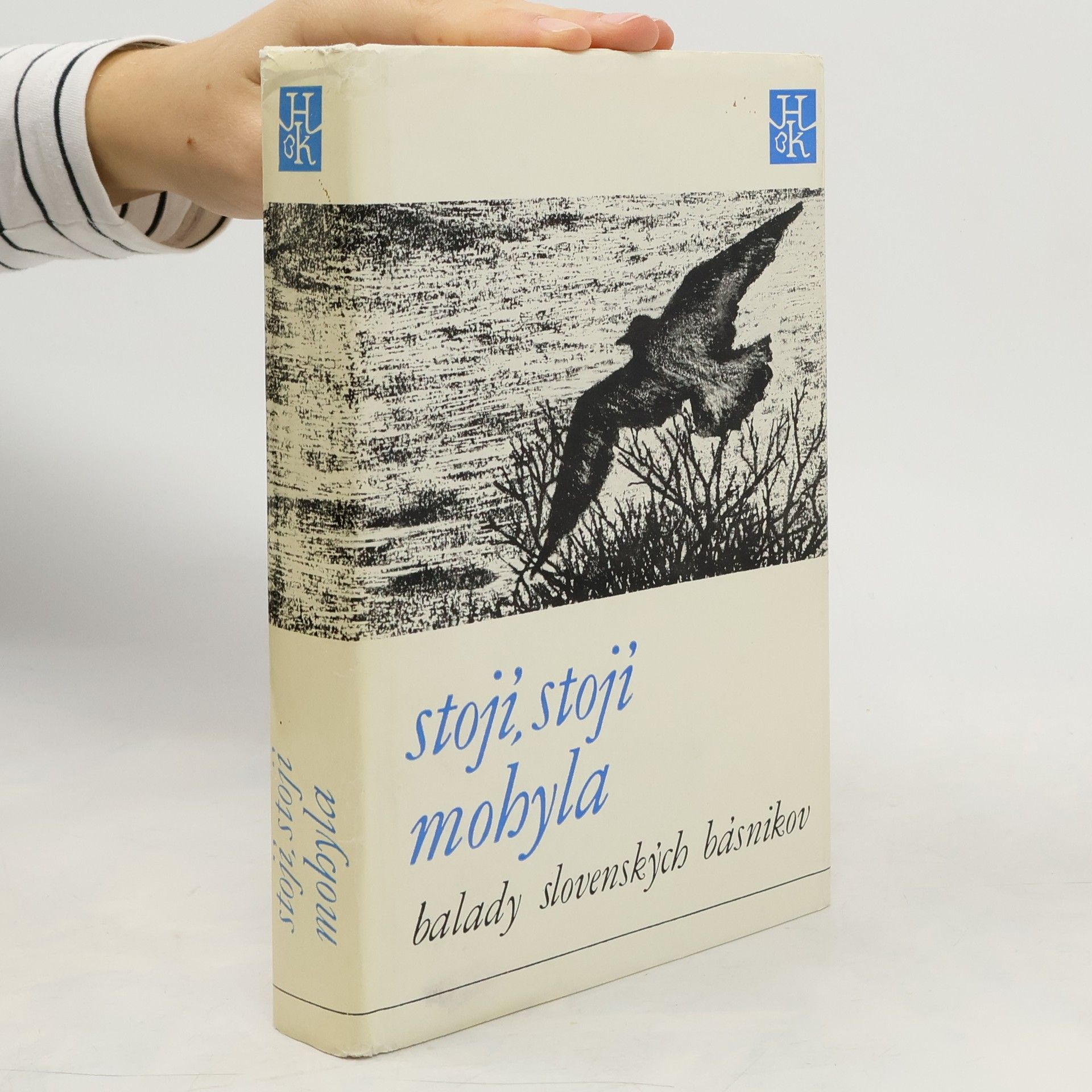 Stojí, stojí mohyla