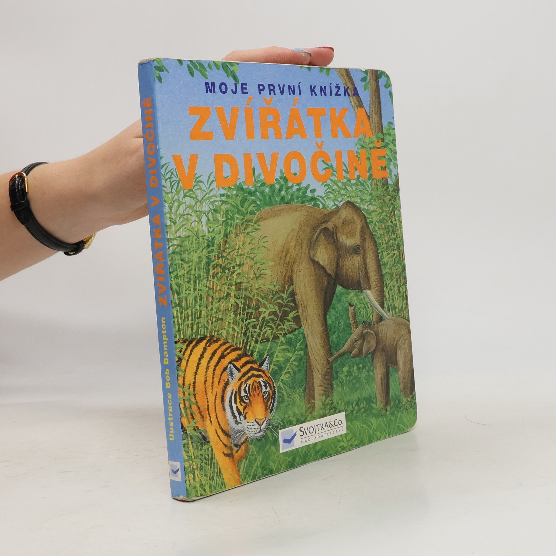 Autores varios Zvířátka v divočině