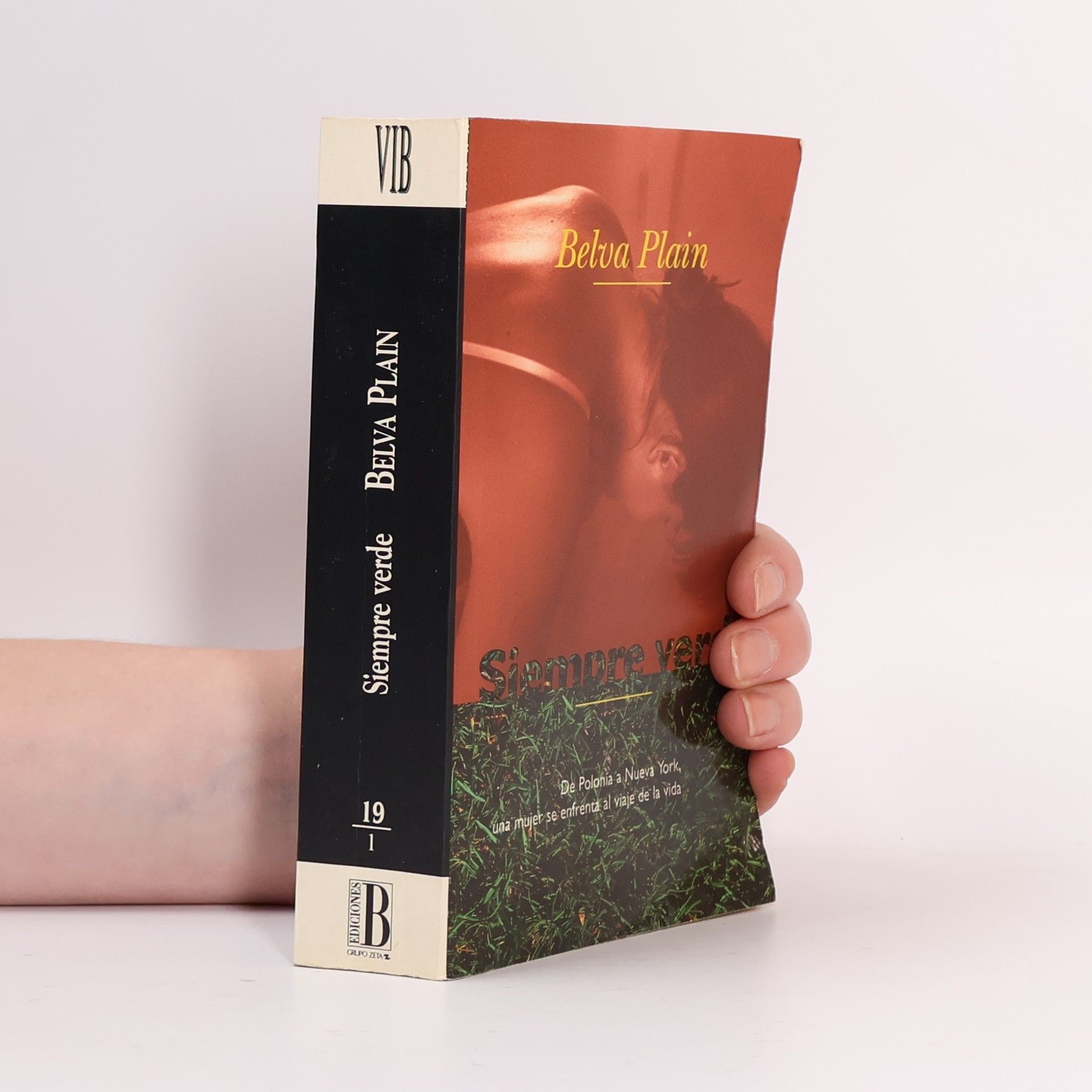 Belva Plain Siempre verde