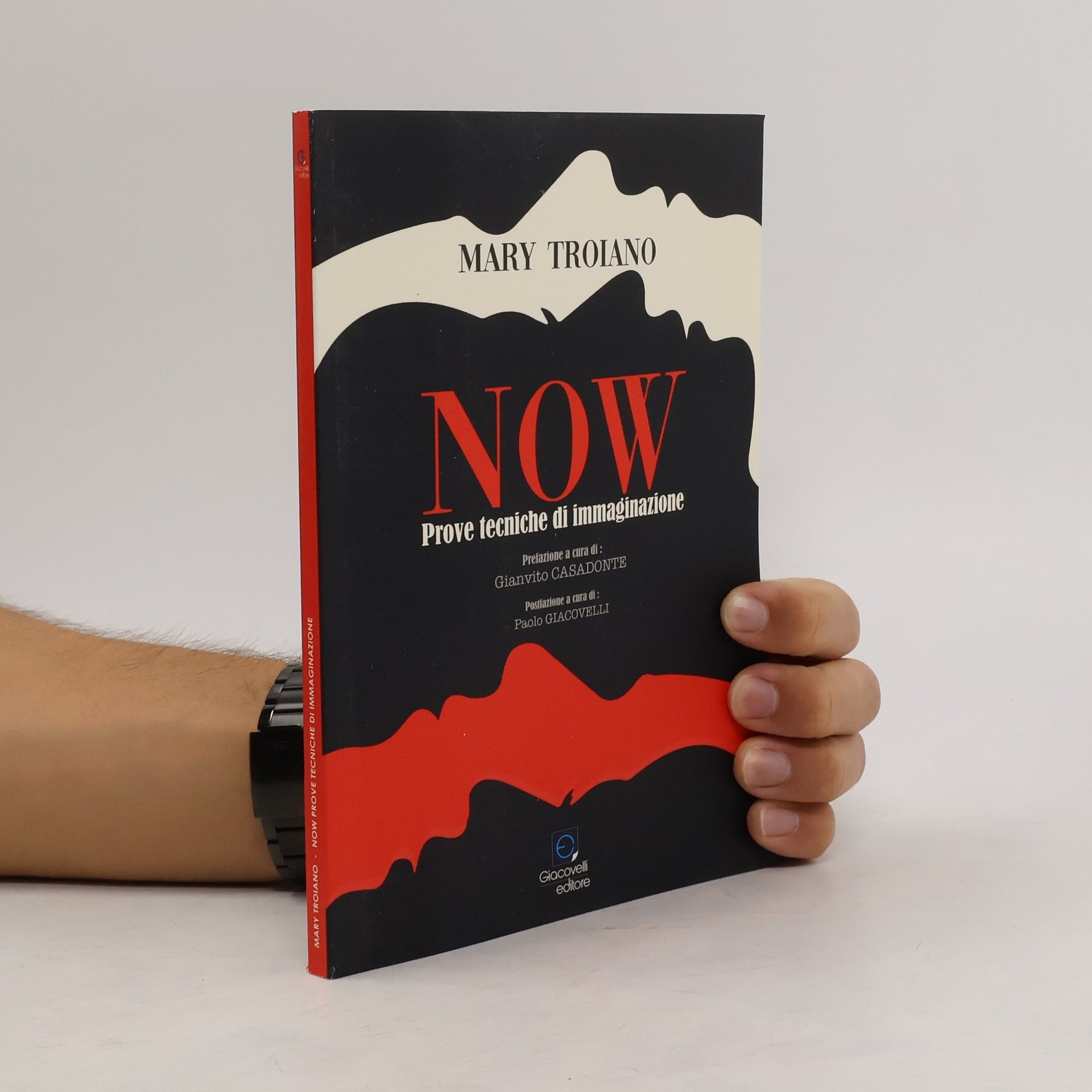 Mary Troiano NOW. Prove tecniche di immaginazione