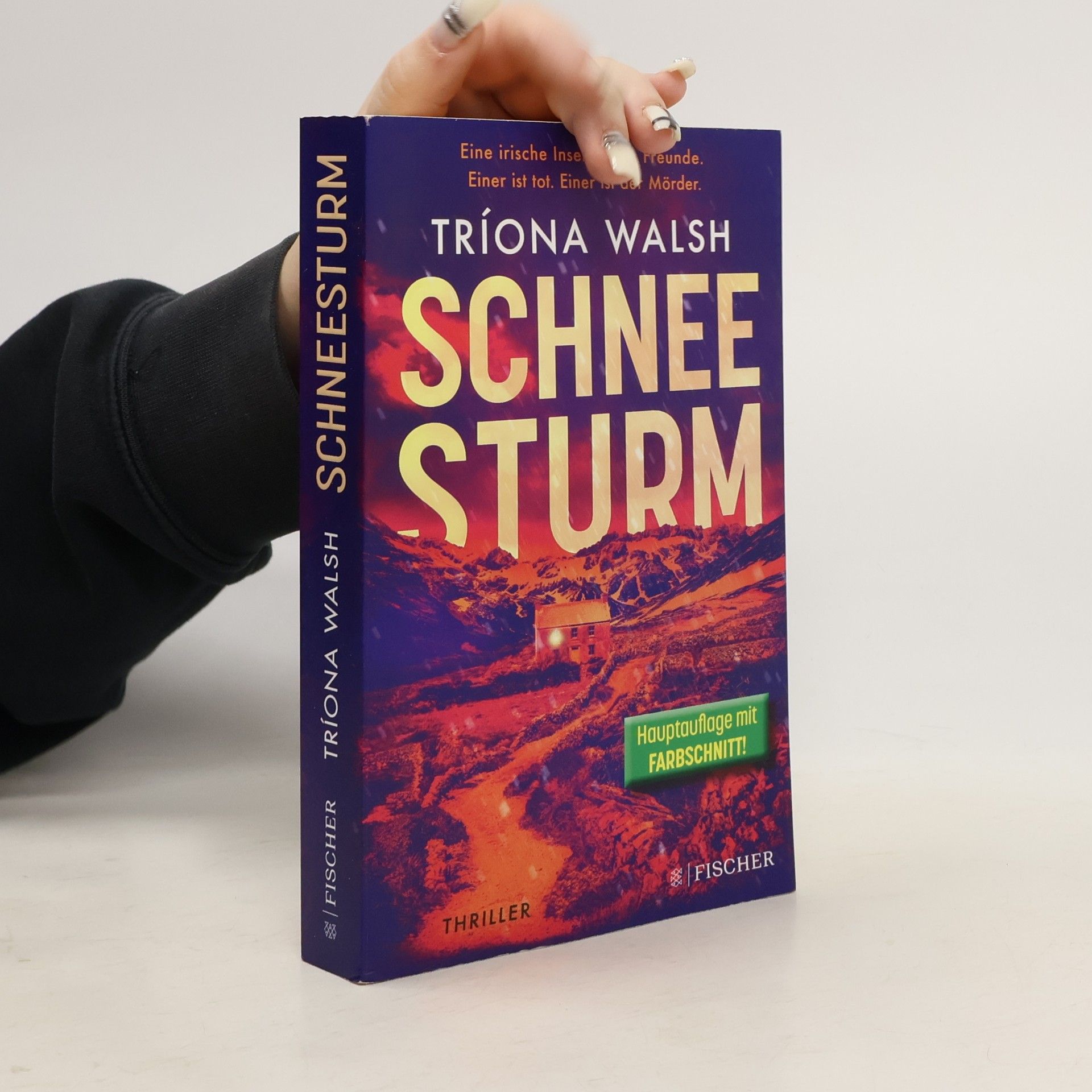 Tríona Walsh Schneesturm