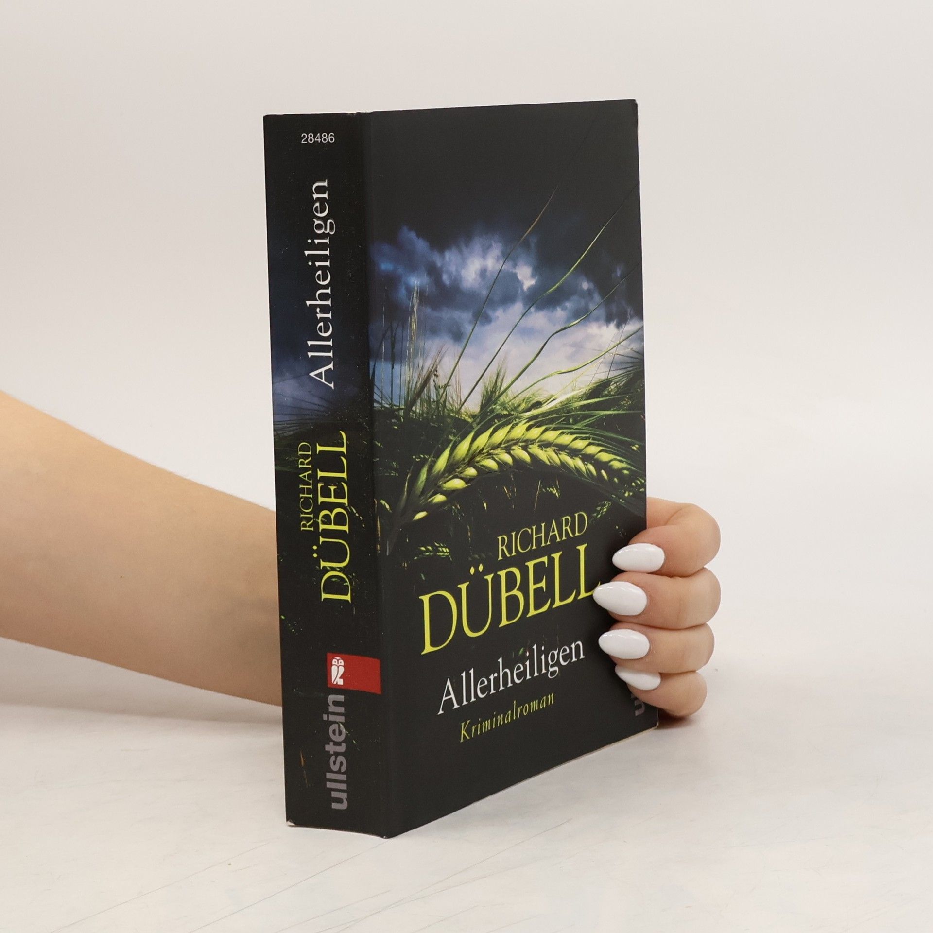 Richard Dübell Allerheiligen