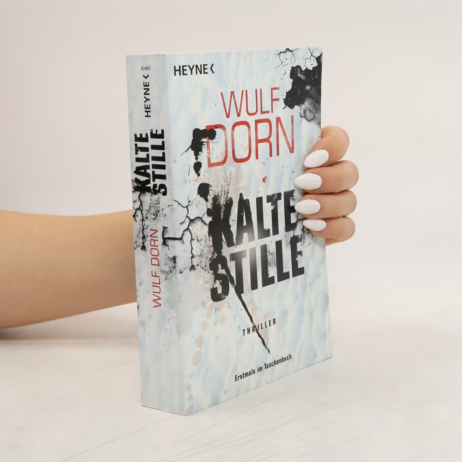 Wulf Dorn Kalte Stille