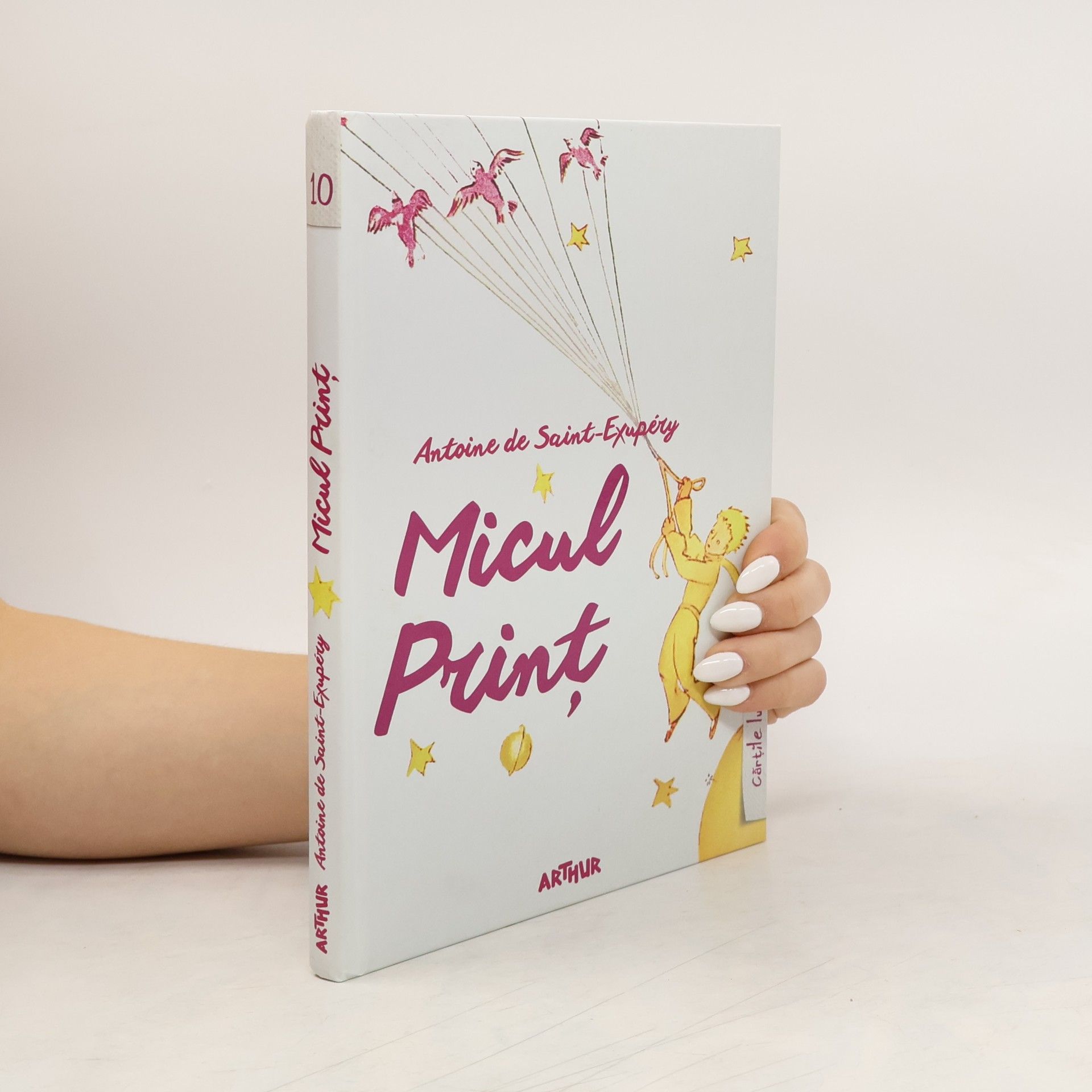 Antoine de Saint-Exupéry Micul Print