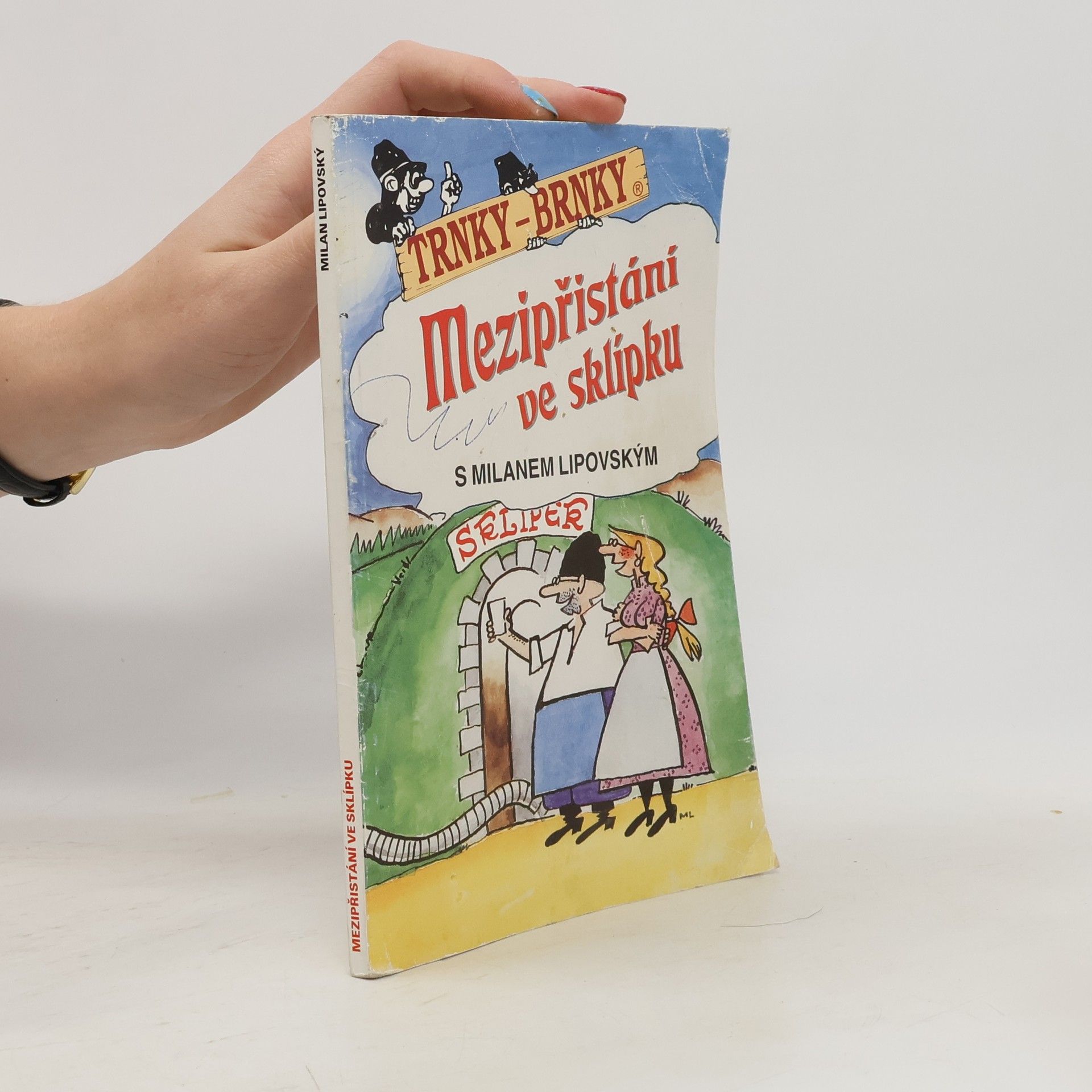 Mezipřistání ve sklípku