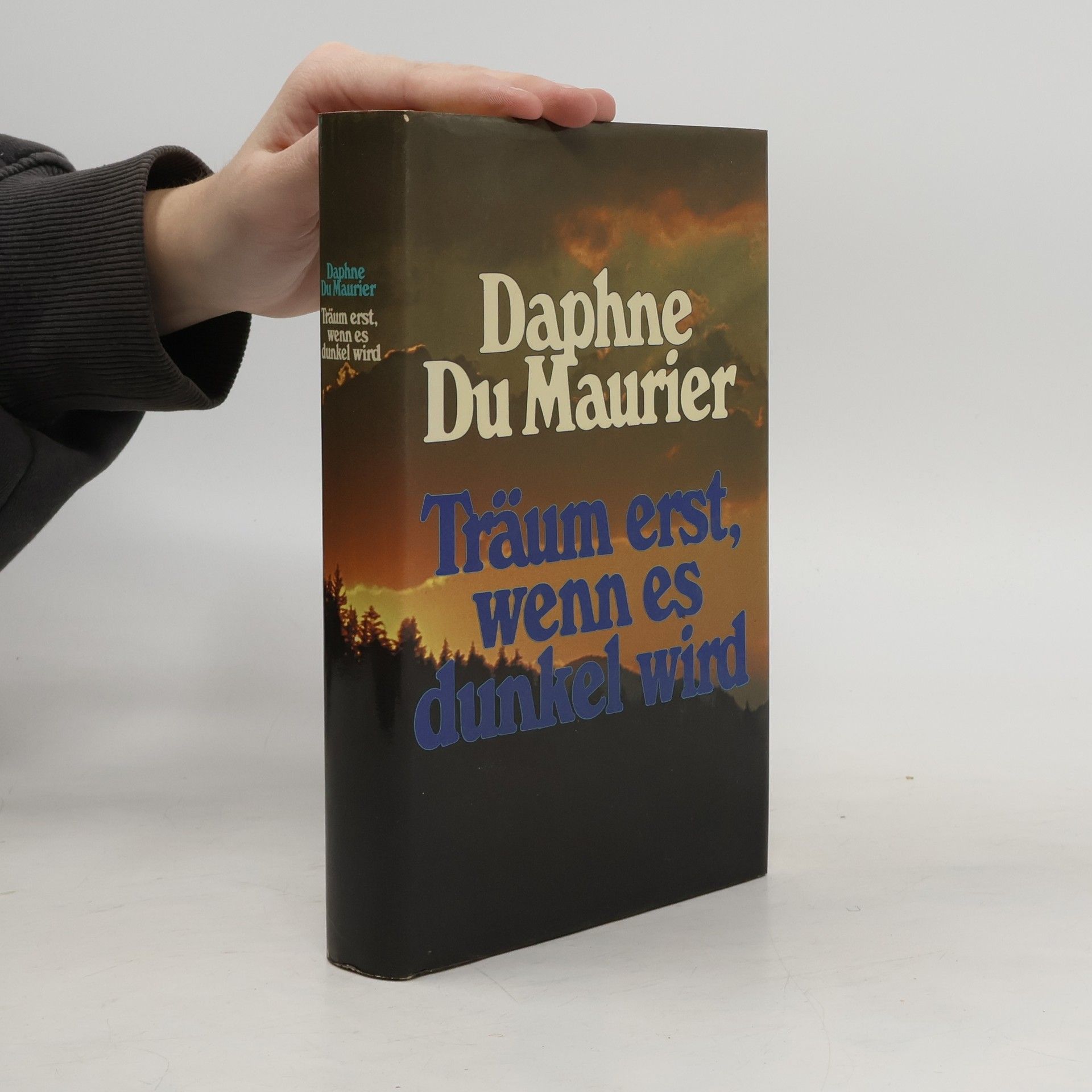 Daphne du Maurier Träum erst, wenn es dunkel wird