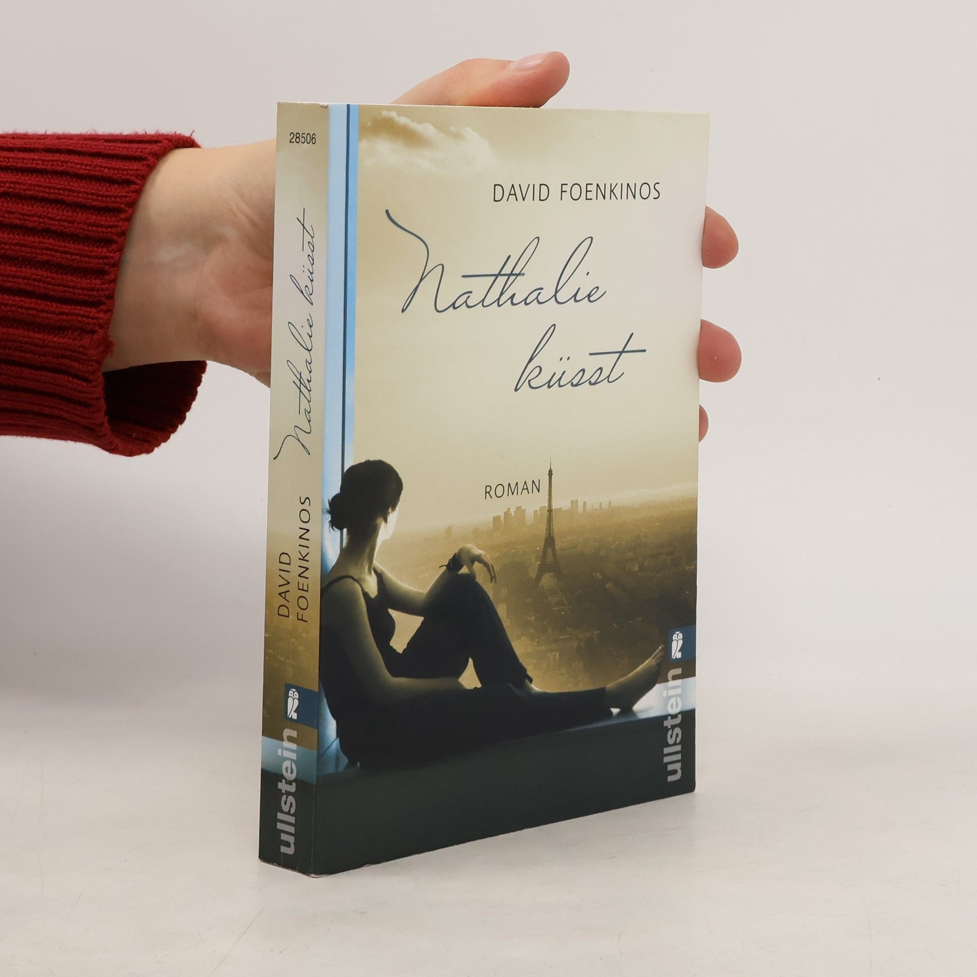 David Foenkinos Souvenirs