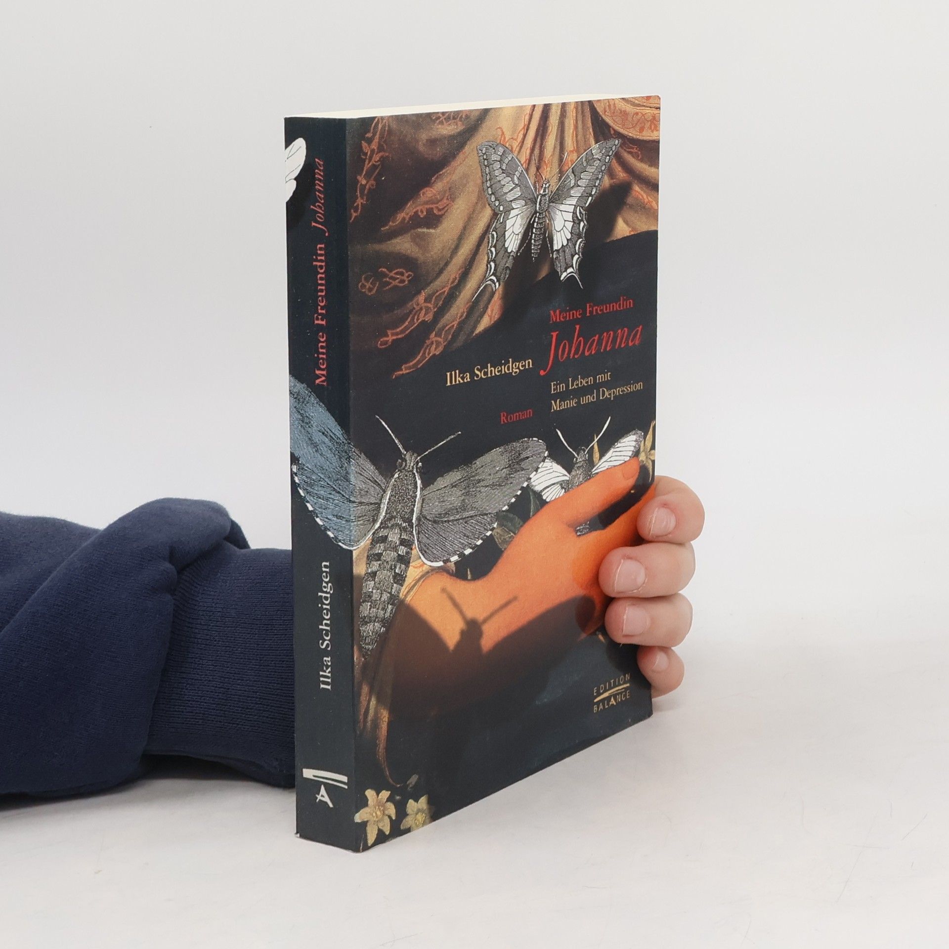 Ilka Scheidgen Meine Freundin Johanna