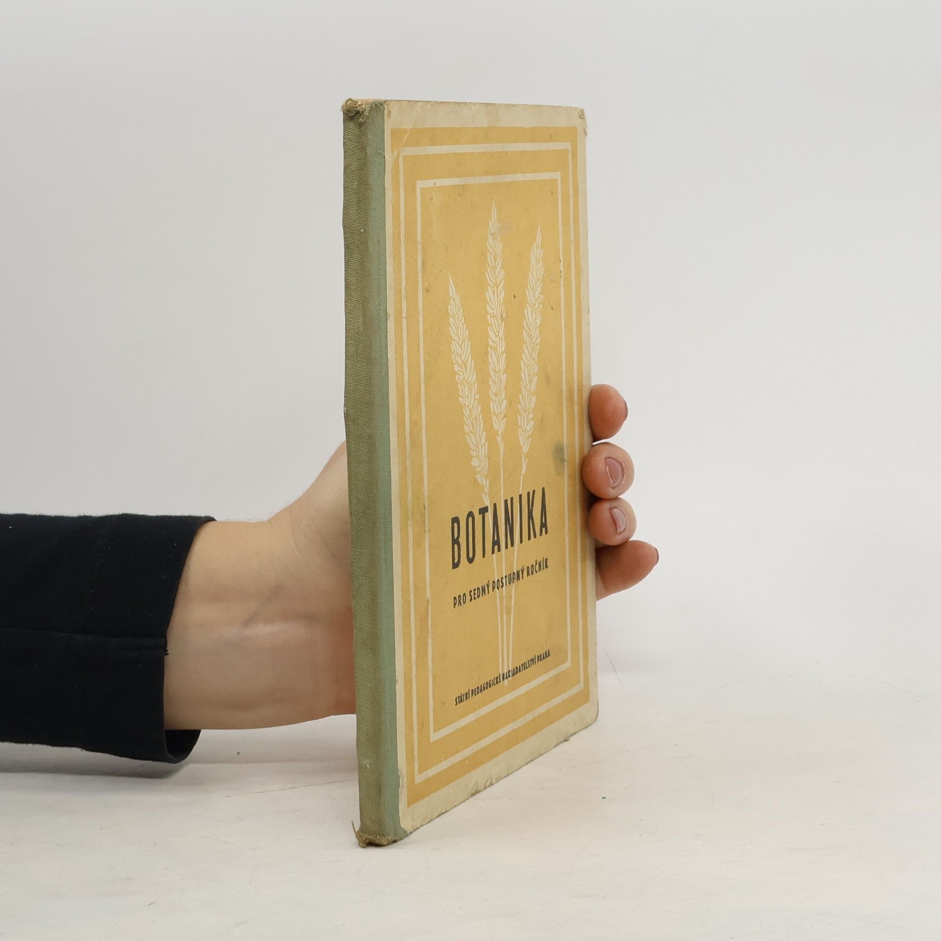 Botanika. Učebnice pro šestý postupný ročník