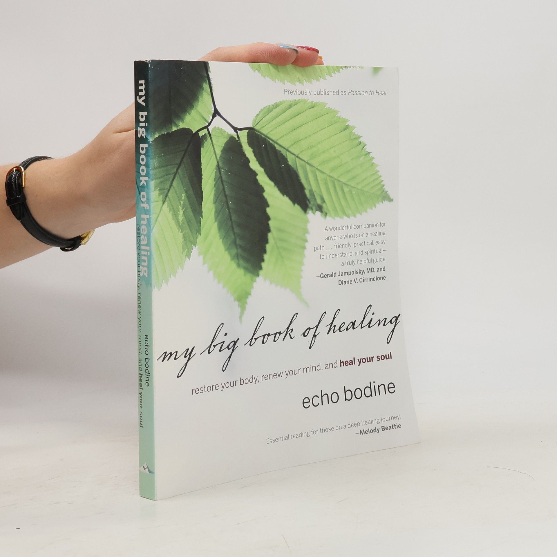 Echo L. Bodine My Big Book of Healing