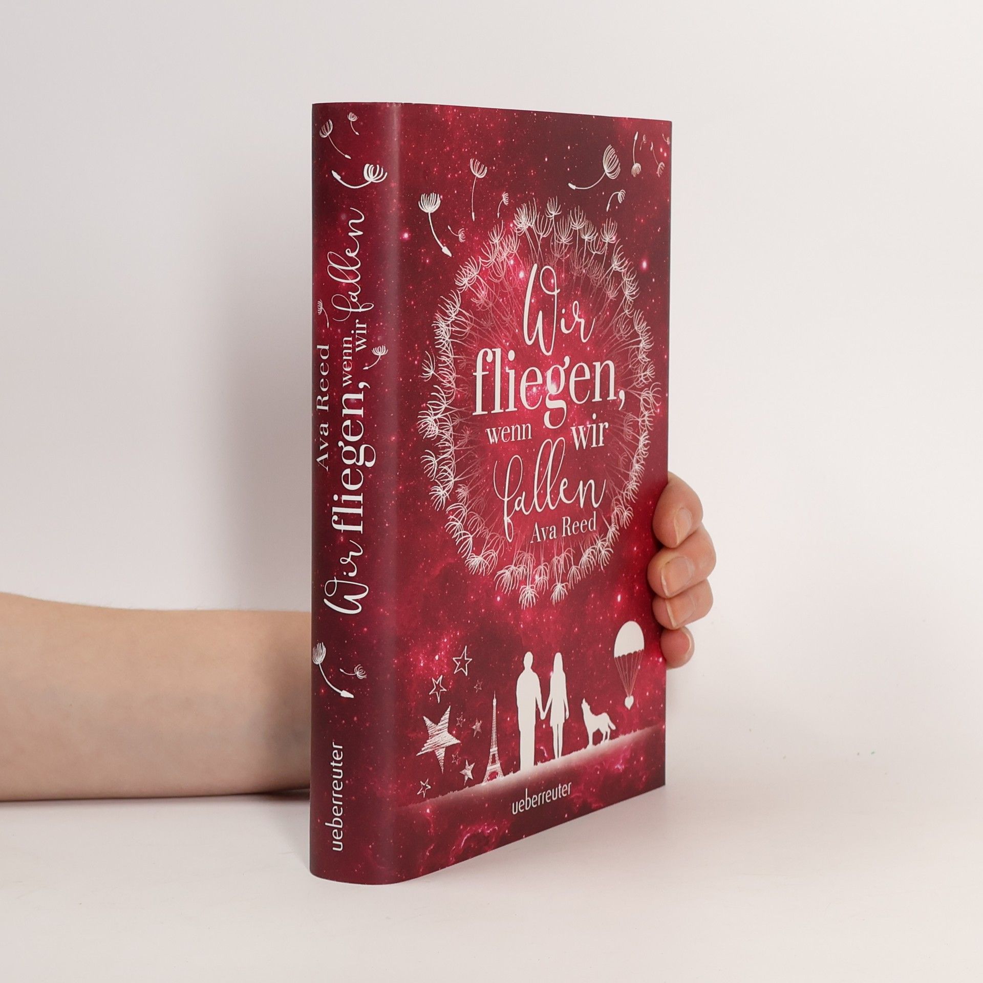 Ava Reed Wir fliegen, wenn wir fallen