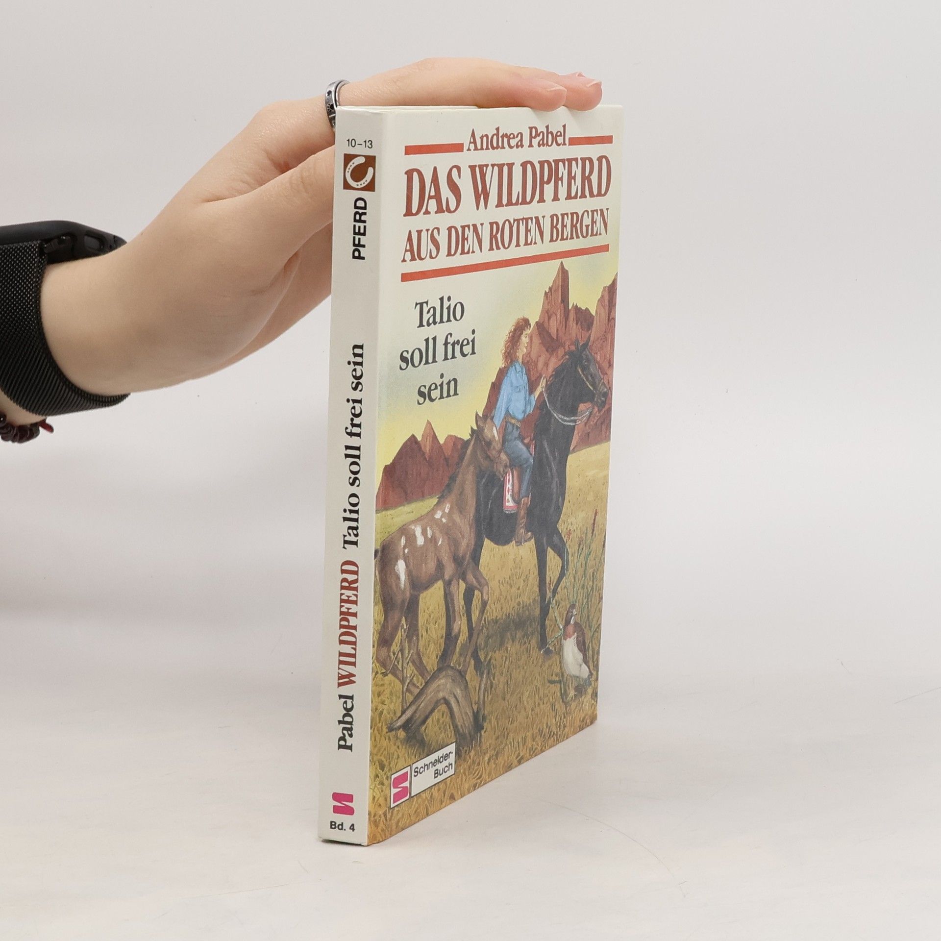 Andrea Pabel Das Wildpferd aus den Roten Bergen - 4: Talio soll frei sein