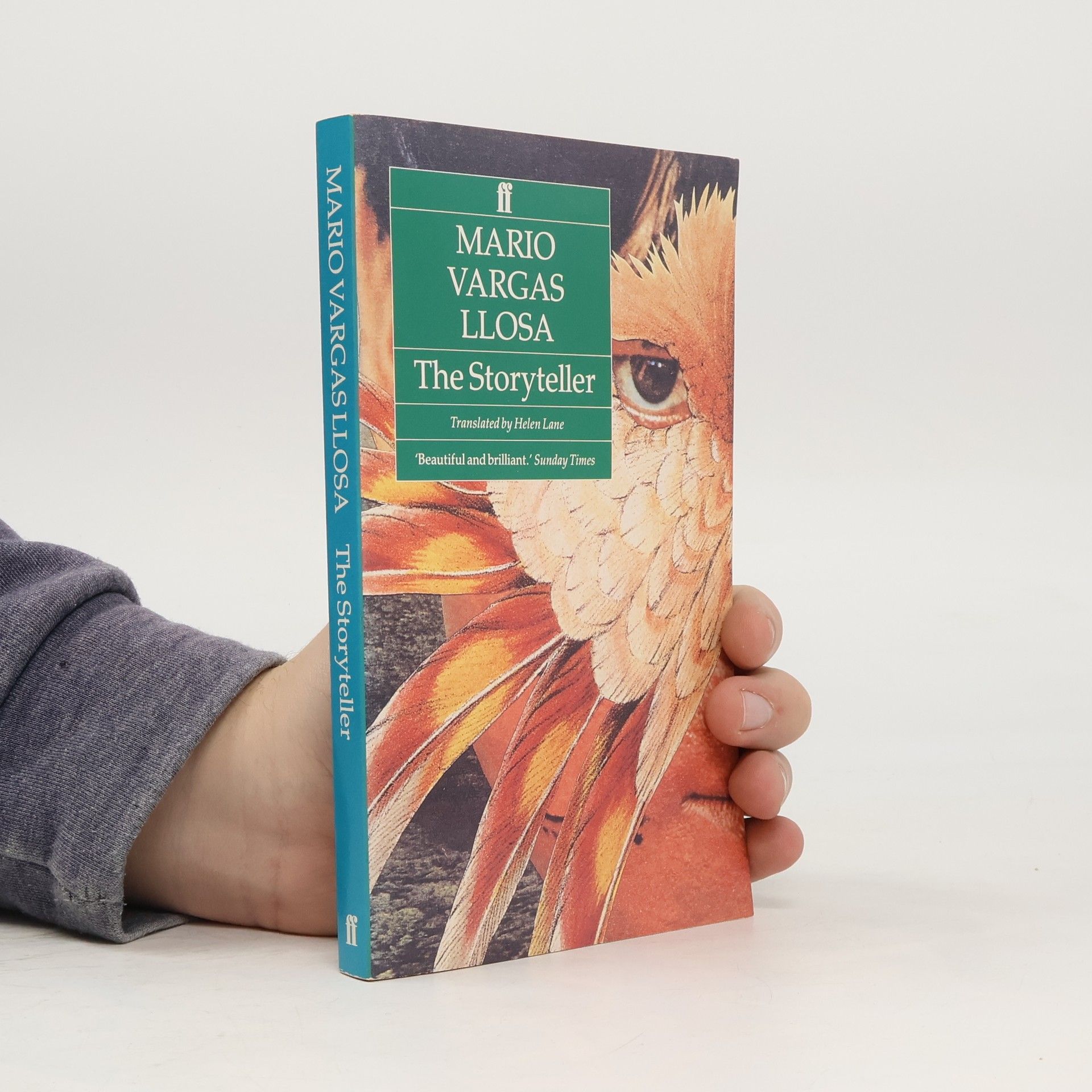 Mario Vargas Llosa The Storyteller