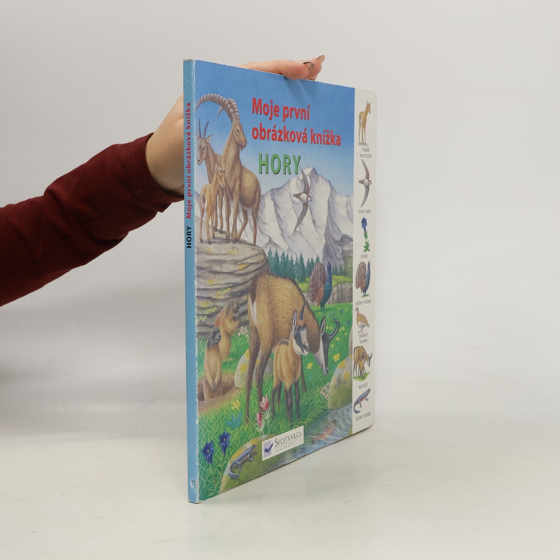 Collectif d'auteurs Hory - Moja první obrázková knižka