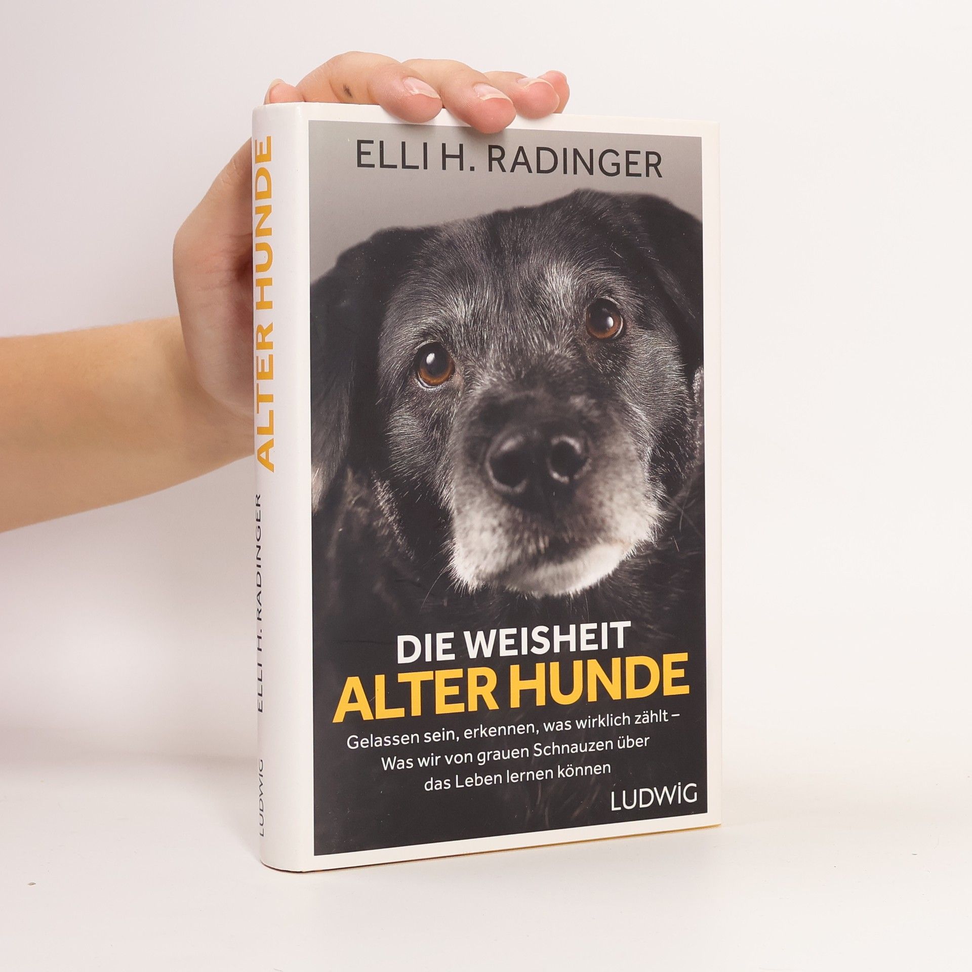 Elli H. Radinger Die Weisheit alter Hunde