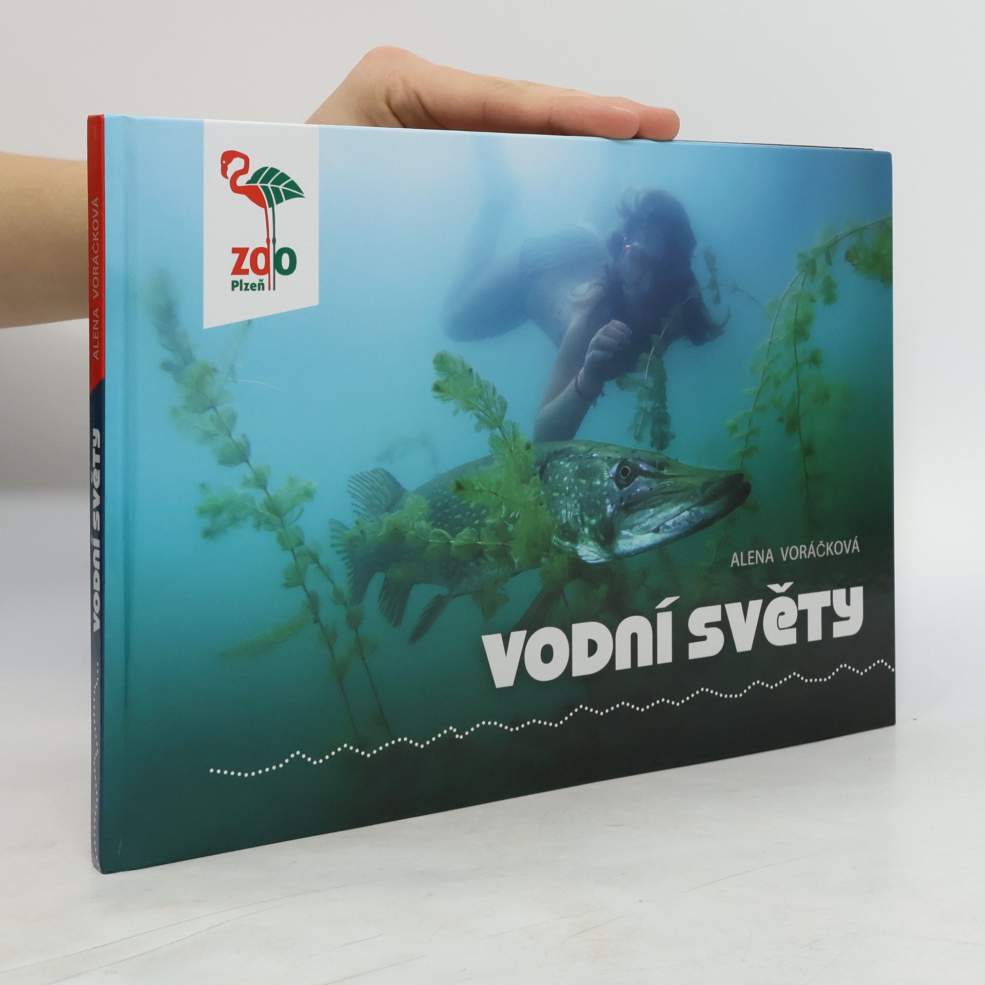 Alena Voráčková Vodní světy