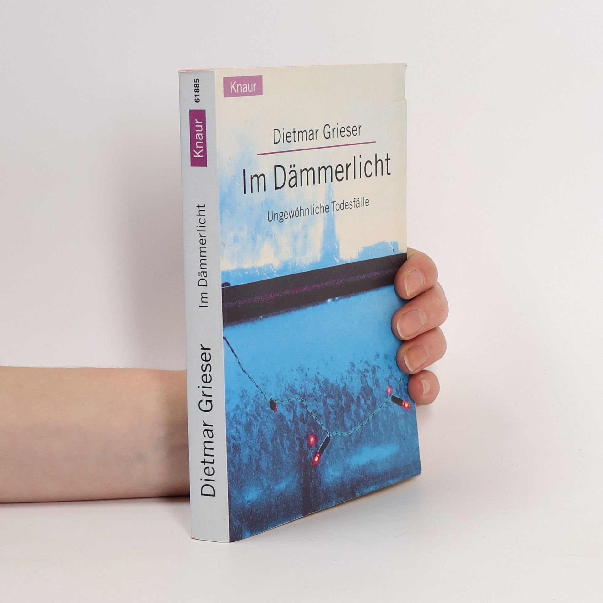 Dietmar Grieser Im Dämmerlicht