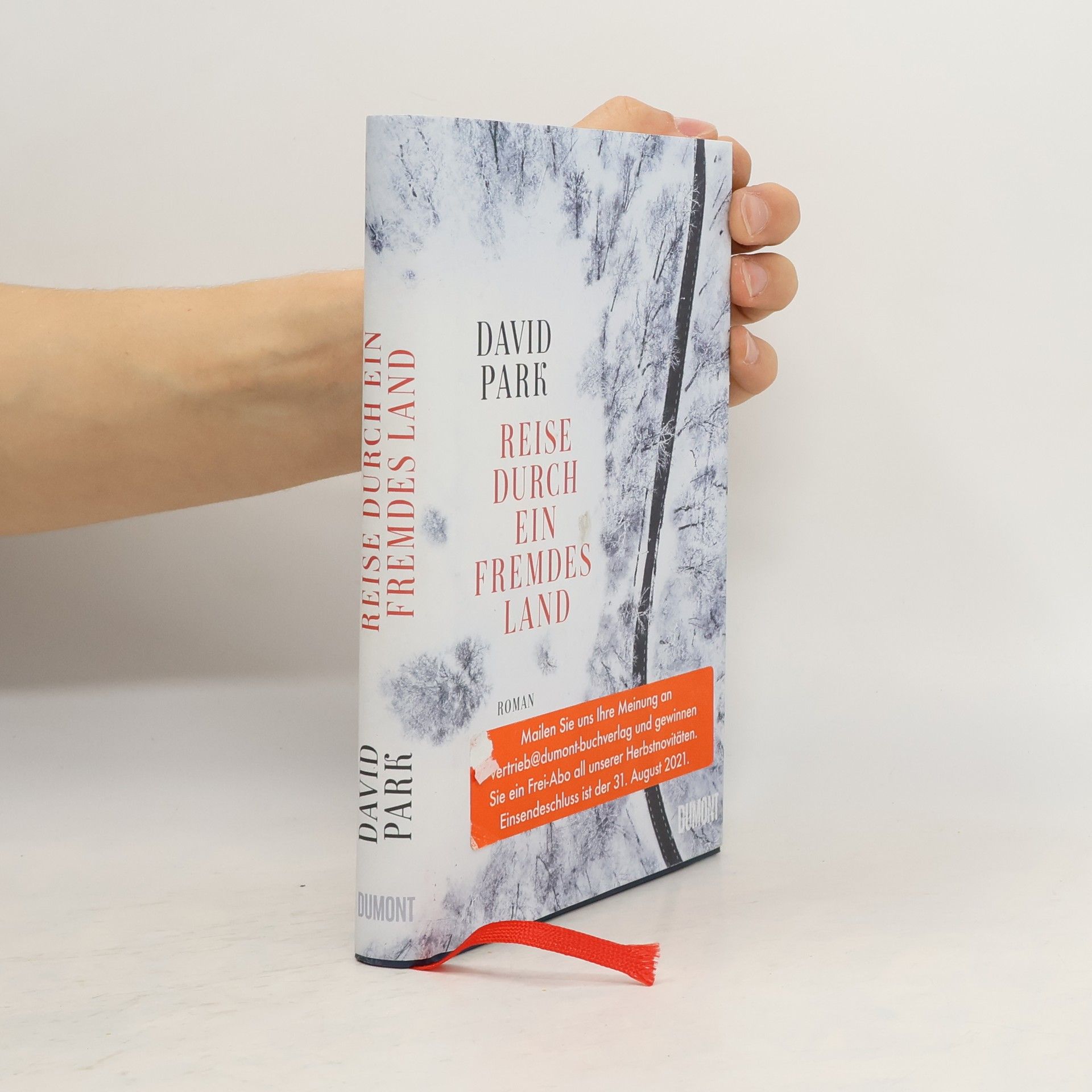 David Park Reise durch ein fremdes Land