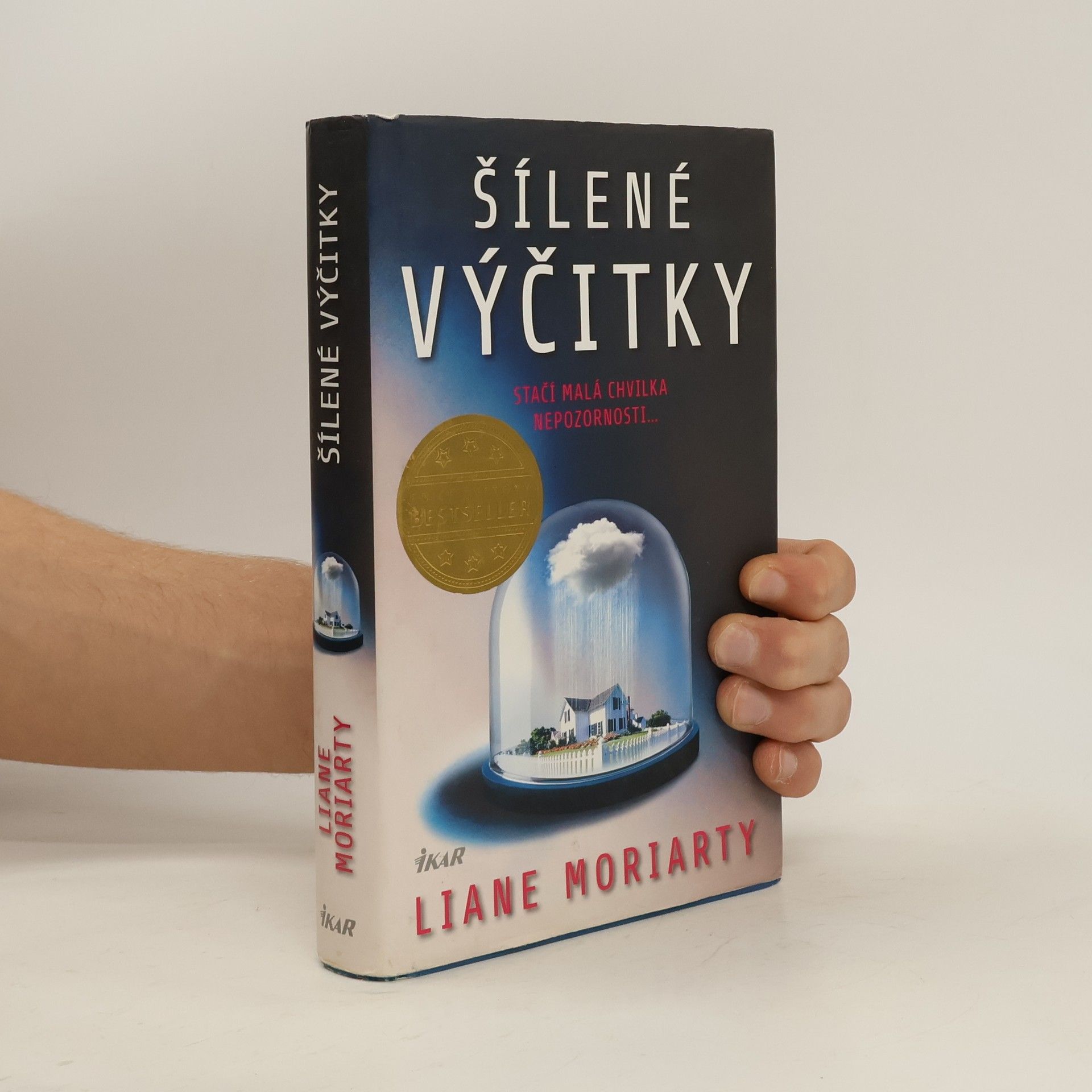 Liane Moriarty Šílené výčitky