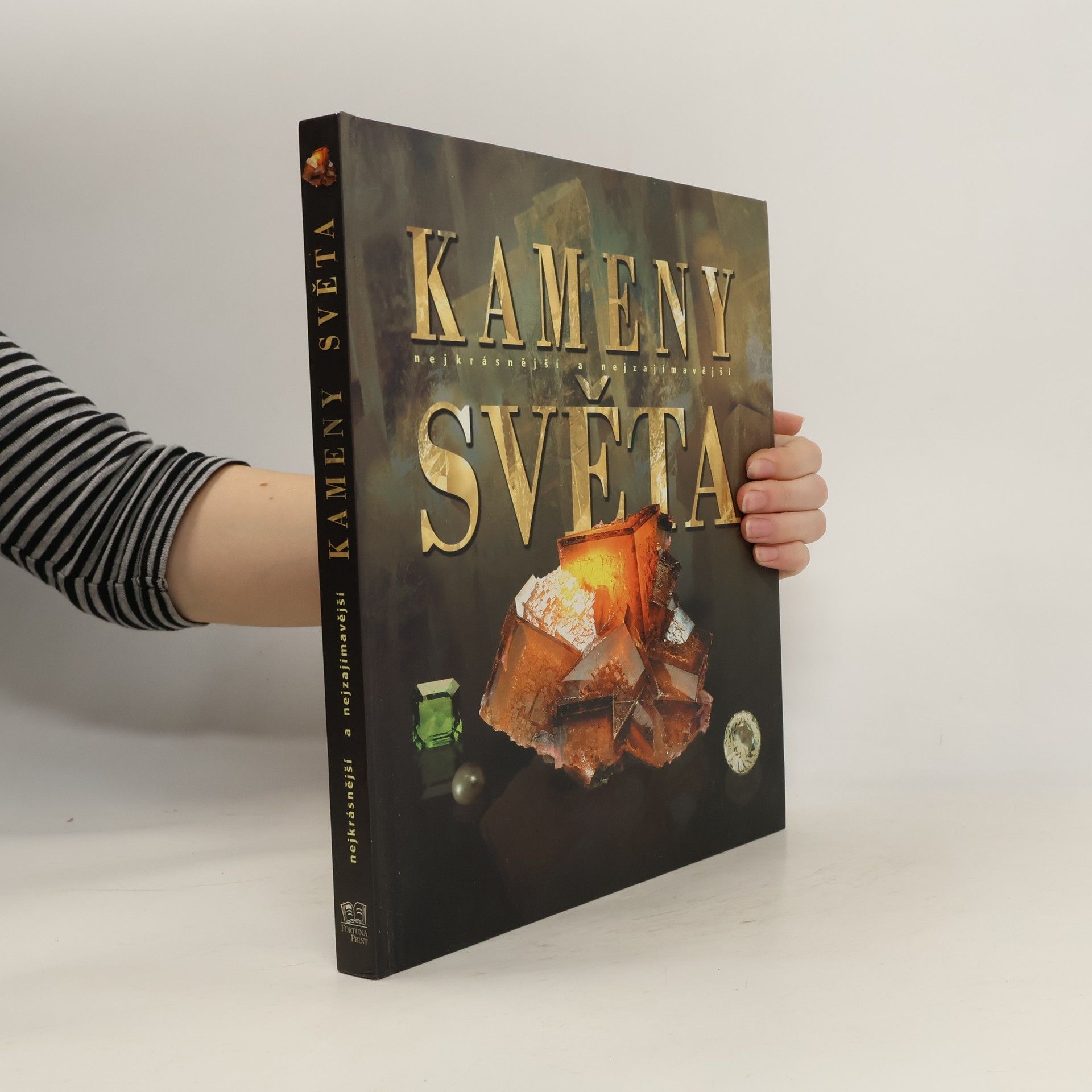 Autorenkollektiv Nejkrásnější a nejzajímavější kameny světa