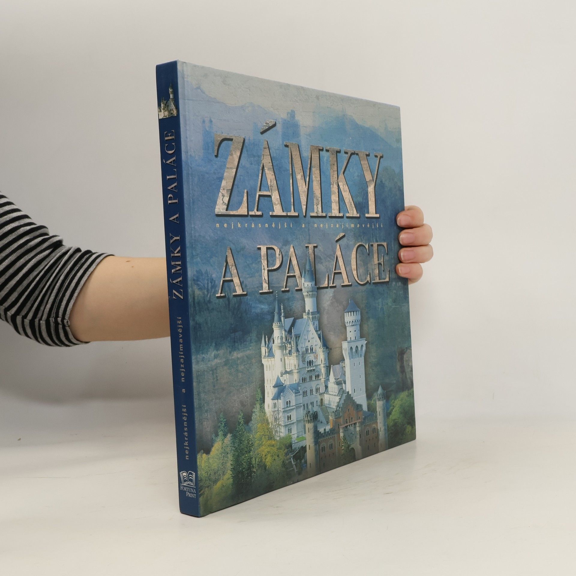 Jelena Žlábková Zámky a paláce: Nejkrásnější a nejzajímavější