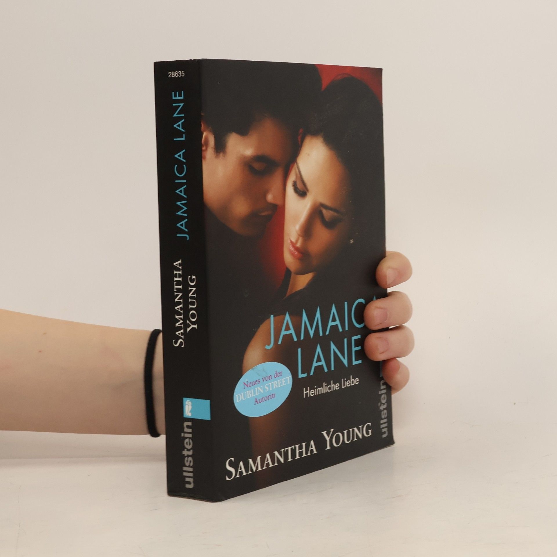 Samantha Young Jamaica Lane: Heimliche Liebe