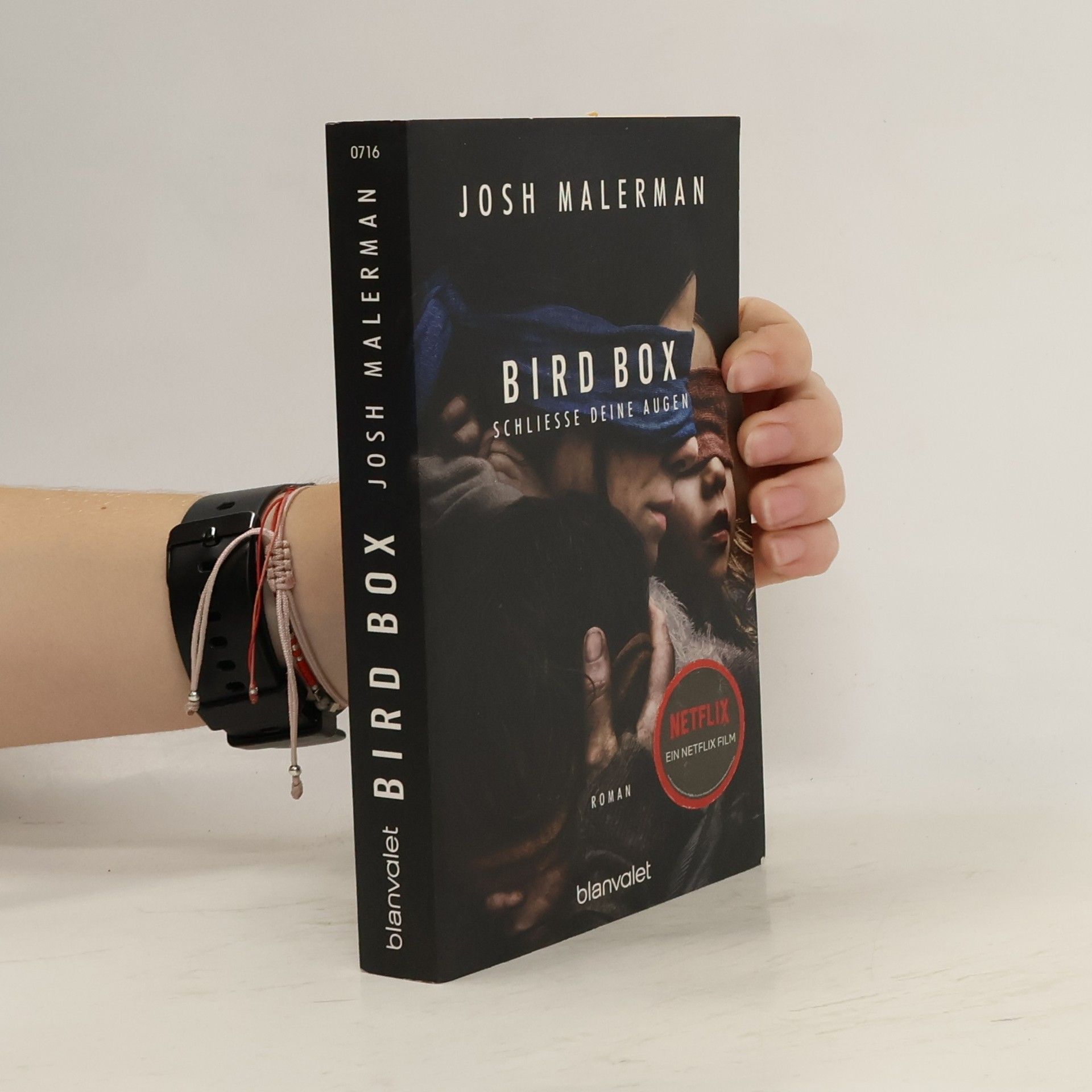 Josh Malerman Bird Box : schließe deine Augen : Roman