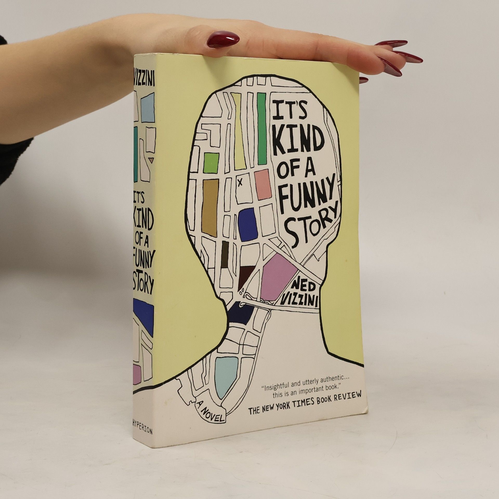 Ned Vizzini It's kind of a funny story