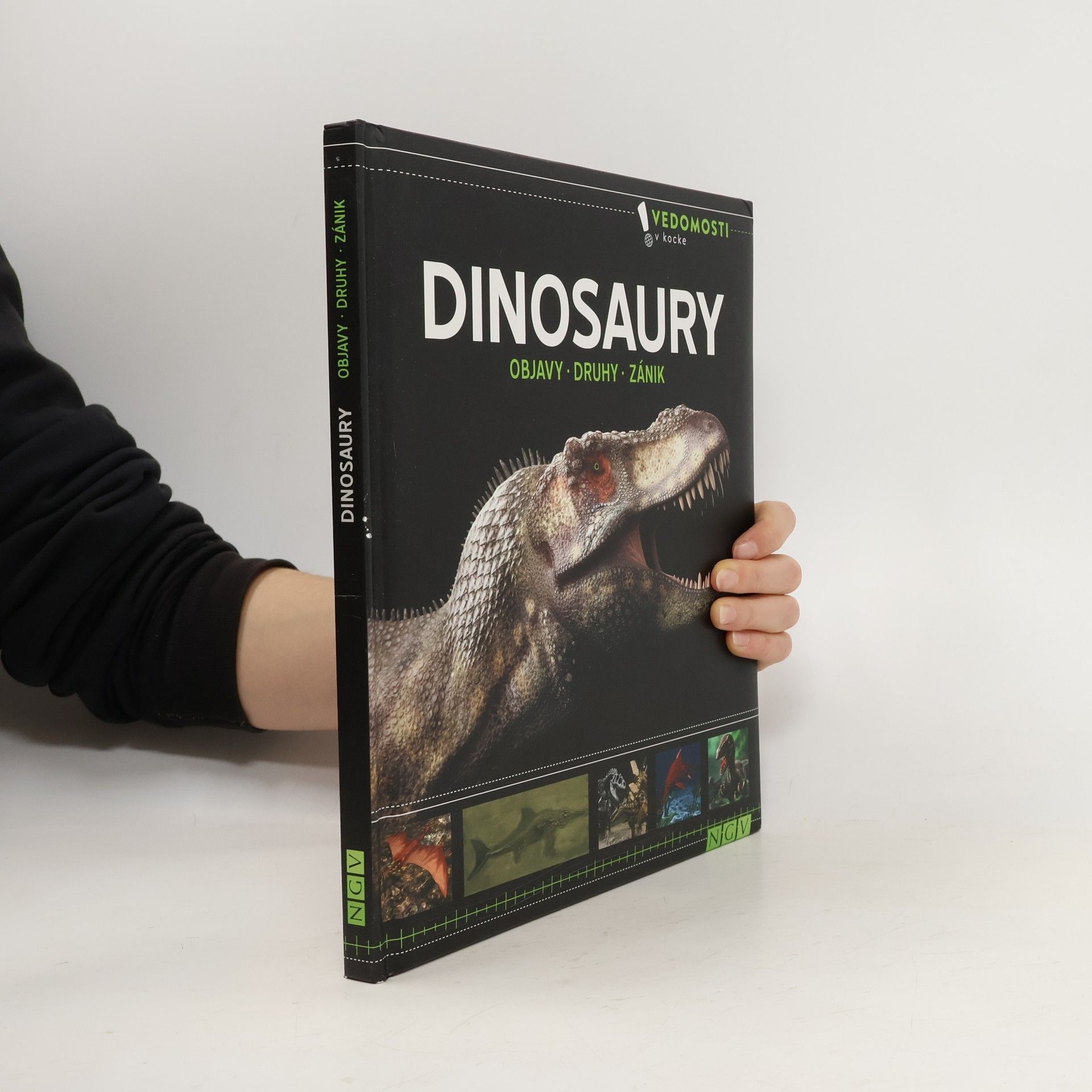Kolektiv autorů Dinosaury