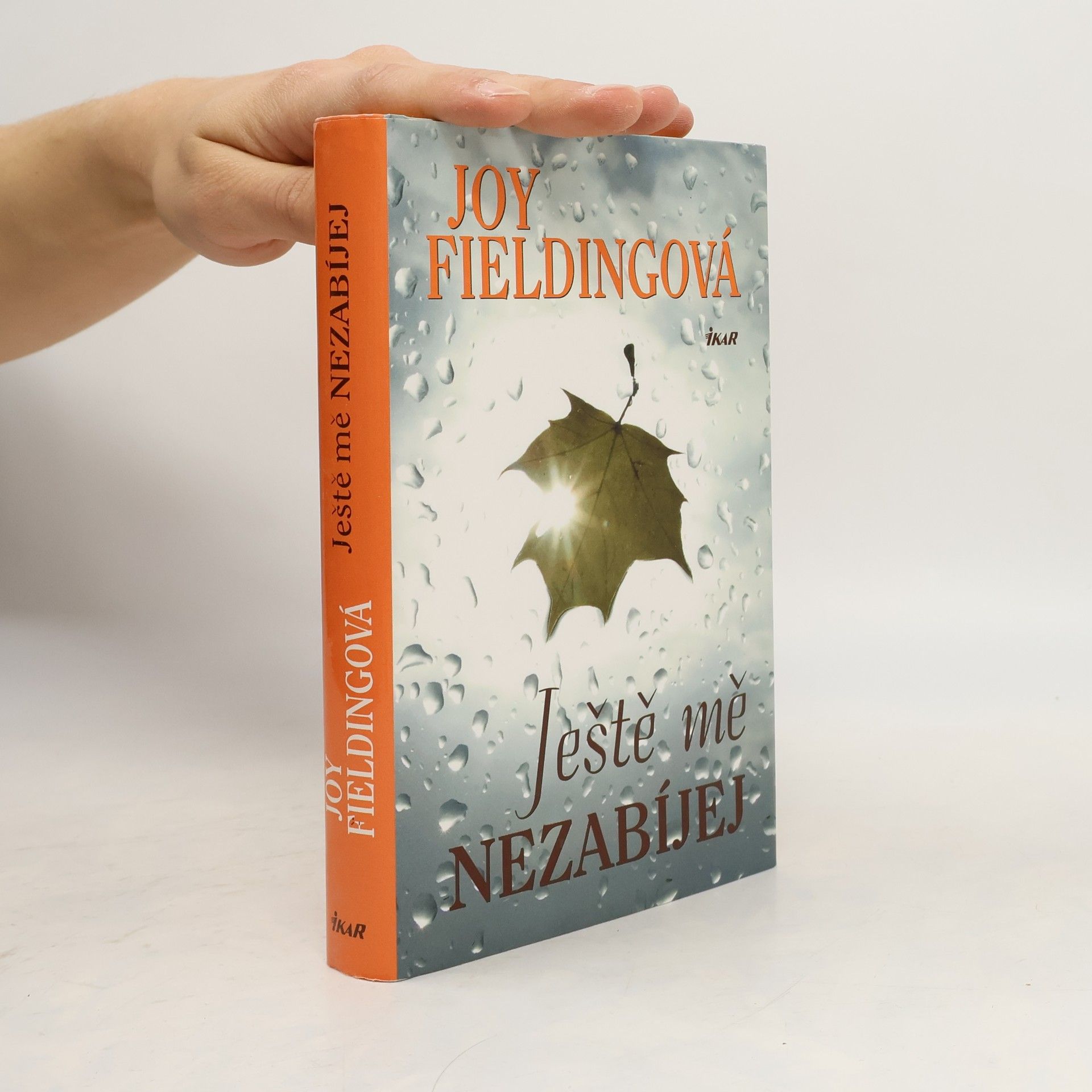 Joy Fielding Ještě mě nezabíjej