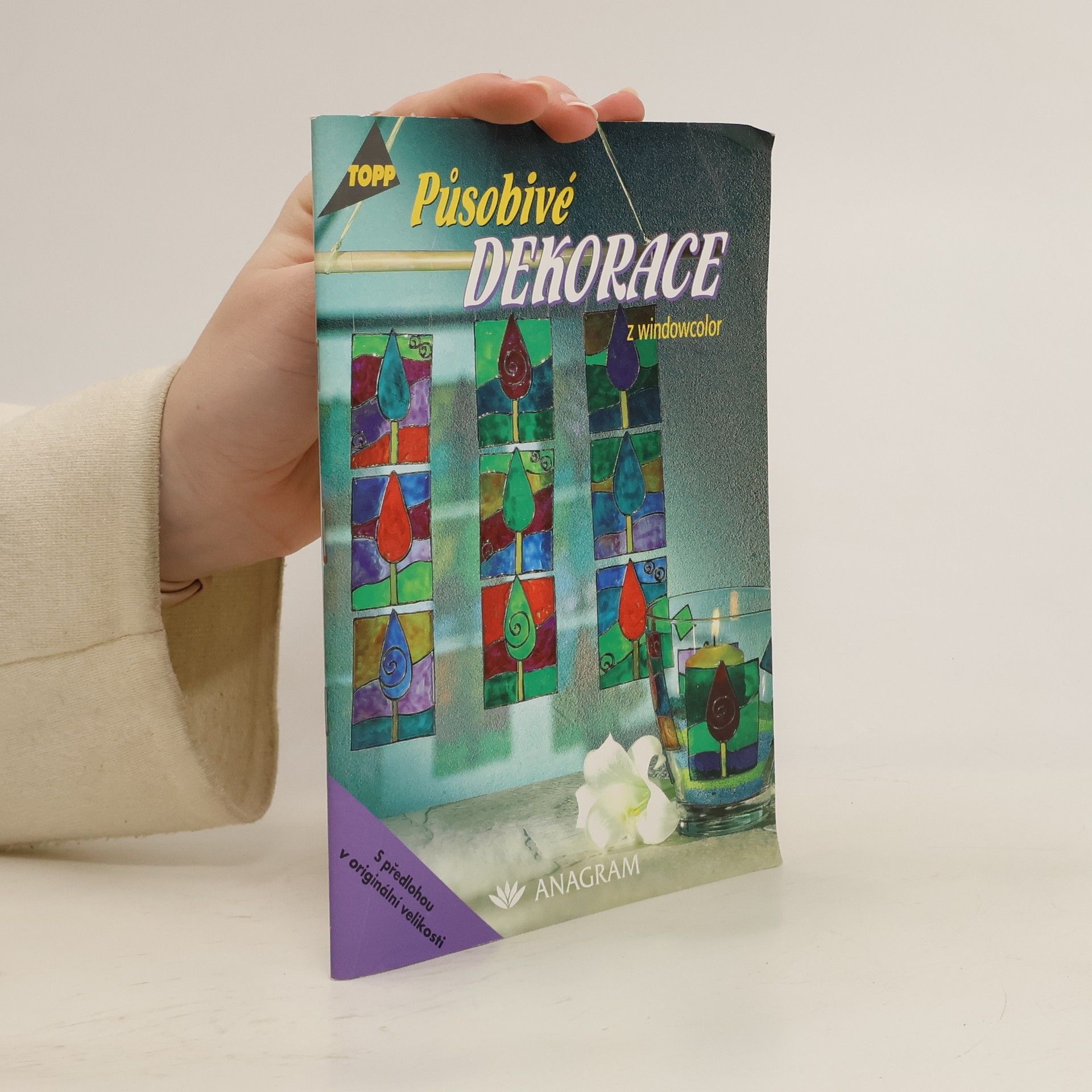 Ute Iparraguirre de las Casas Působivé dekorace z windowcolor