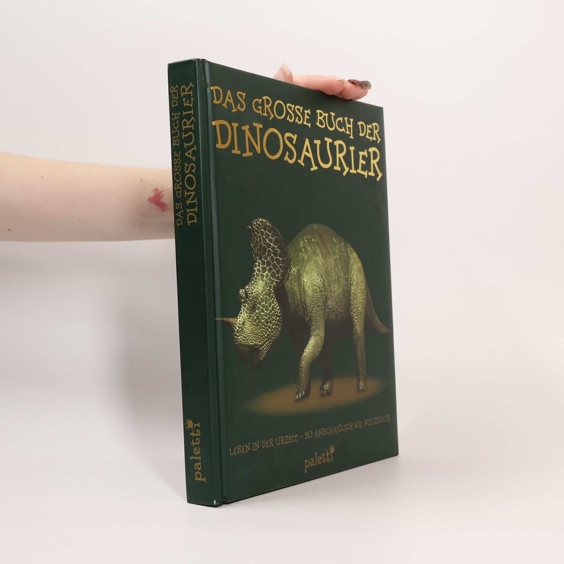 Autorenkollektiv Das Grosse Buch der Dinosaurier