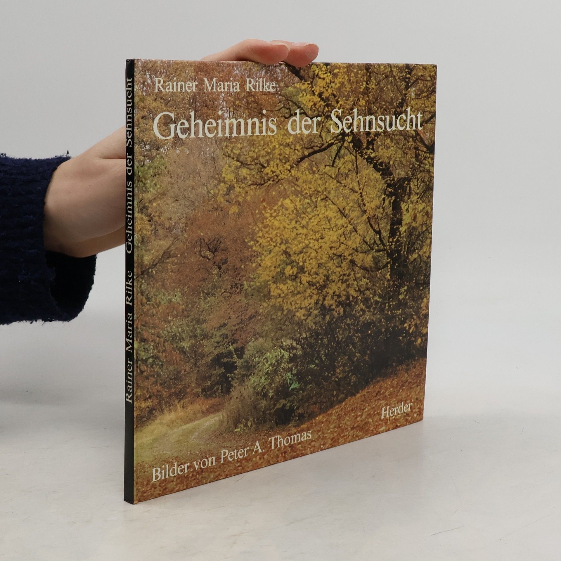 Rainer Maria Rilke Geheimnis der Sehnsucht