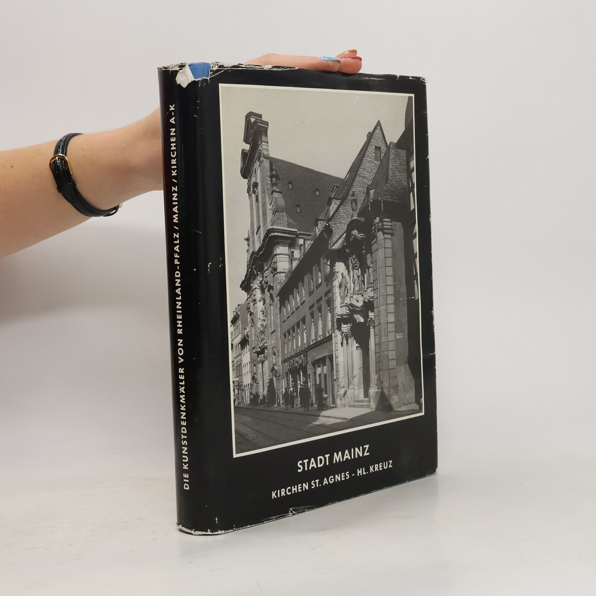 Auteurscollectief Die Kunstdenkmäler der Stadt Mainz, Teil 1: Kirchen St. Agnes bis Hl. Kreuz