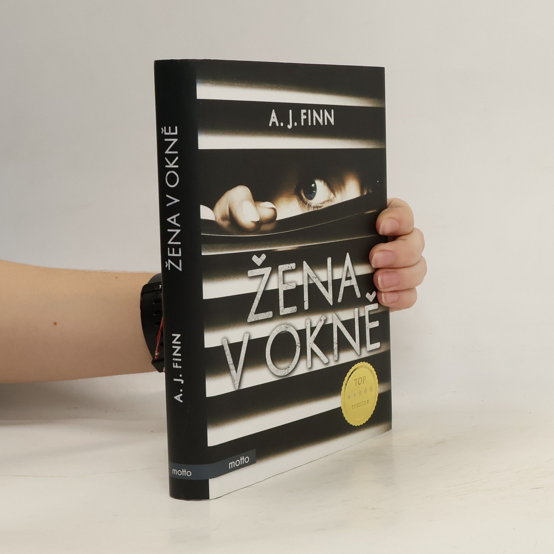 Daniel Mallory Žena v okně