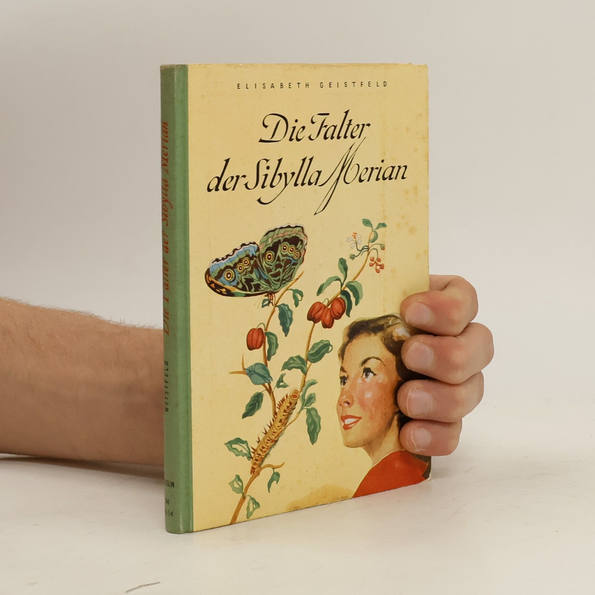 Elisabeth Geistfeld Die Falter der Sibylla Merian