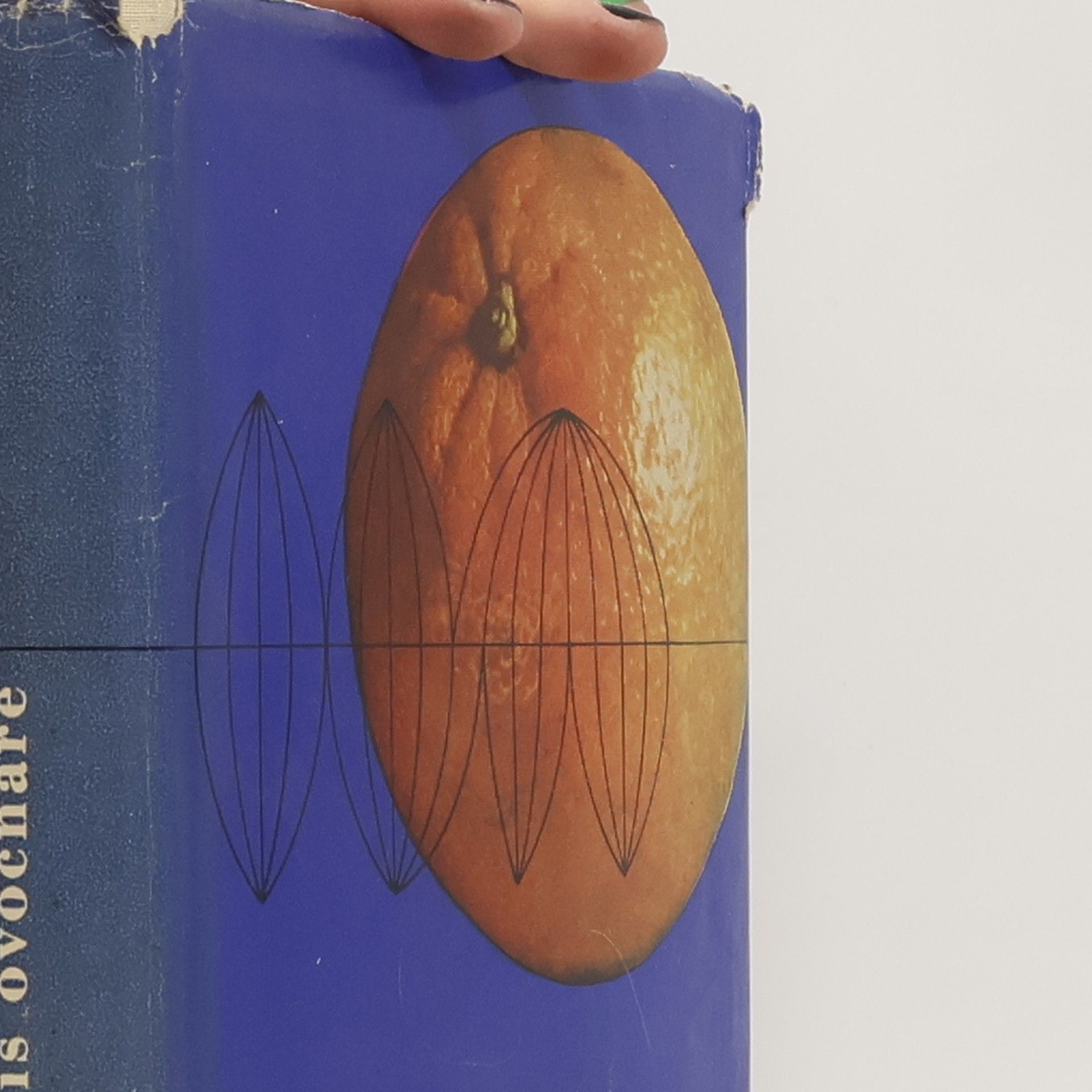 Szczepan A. Pieniążek Cestopis ovocnáře