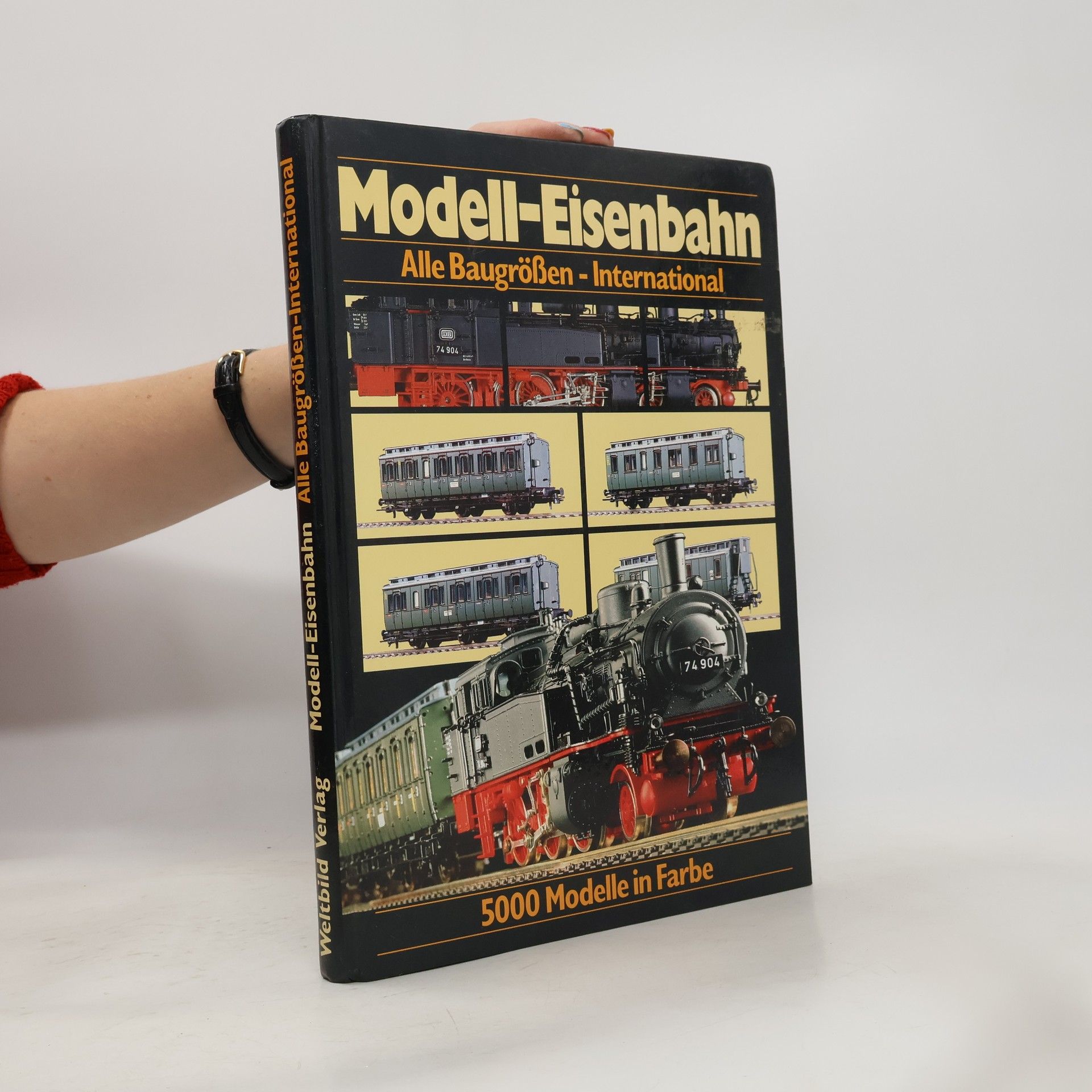 Kolektiv autorů Modell-Eisenbahn: TT+N+Z- International
