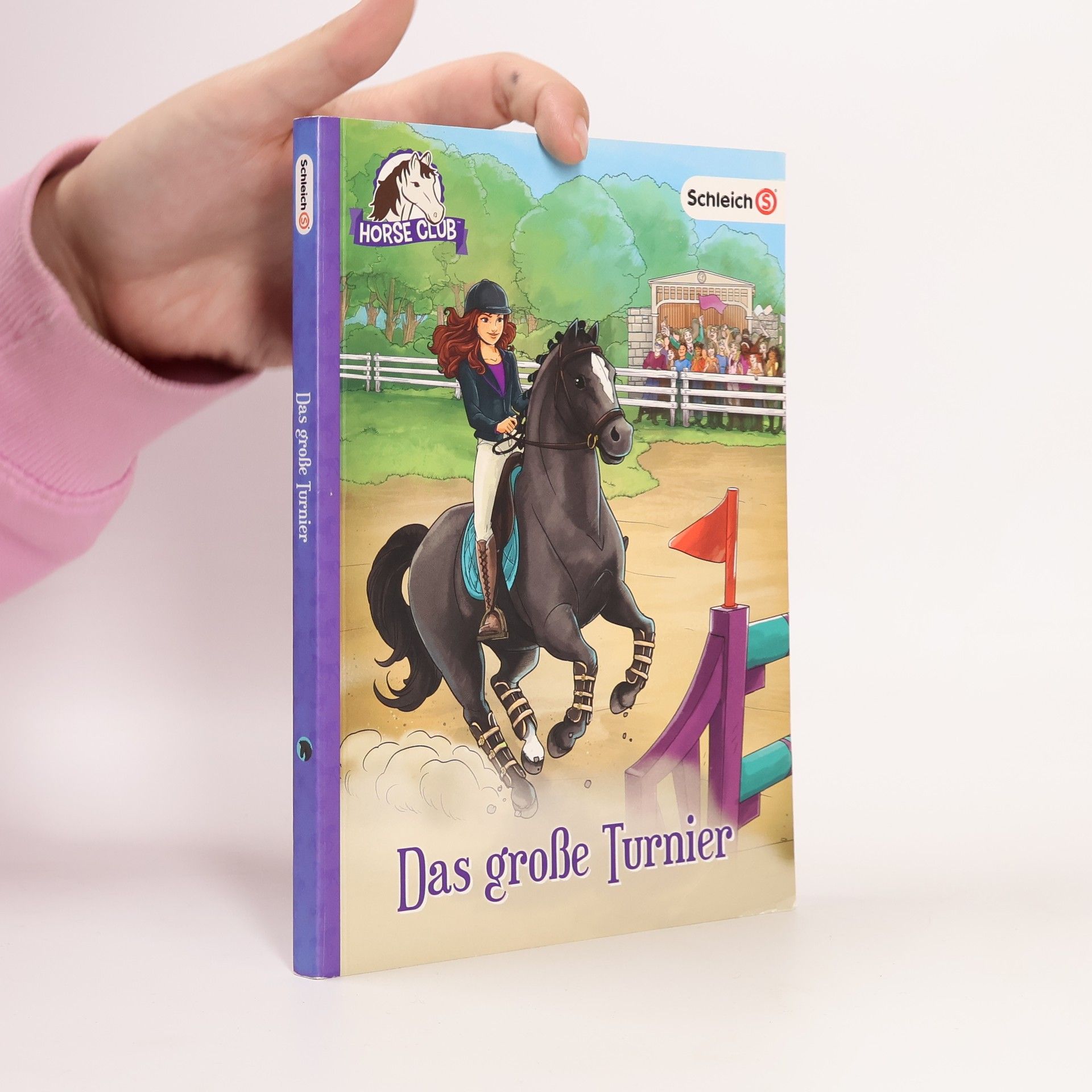 Collectif d'auteurs Das große Turnier